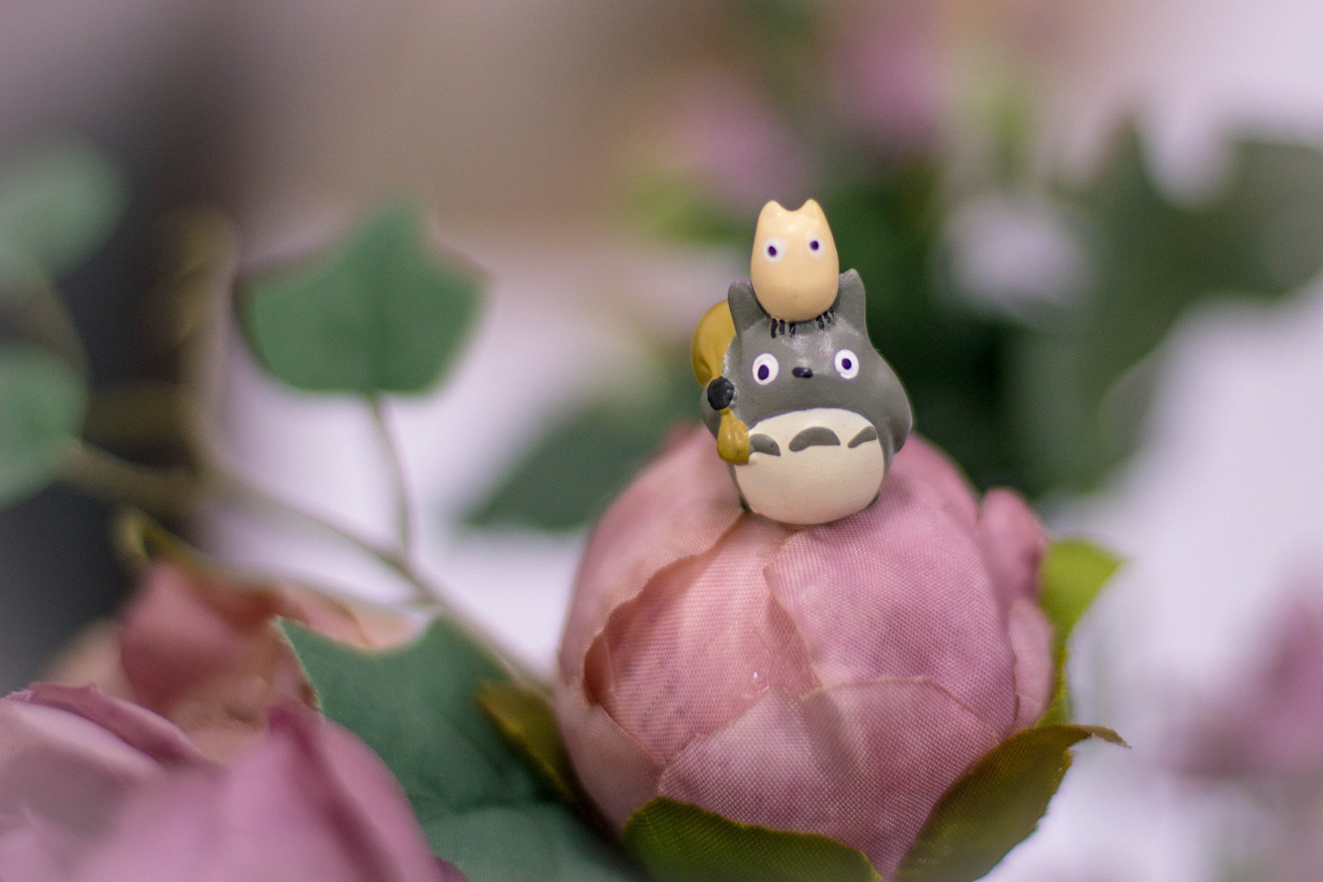 小清新,唯美,温暖,温馨一刻,静物写真,龙猫