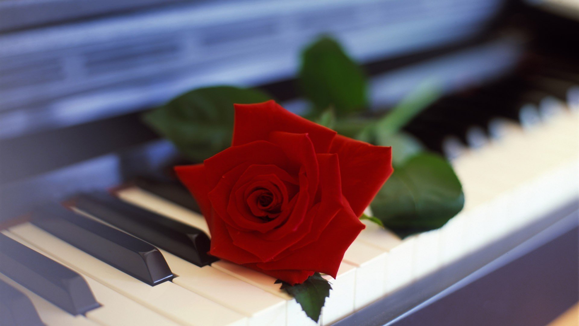 小清新,唯美,温暖,安静