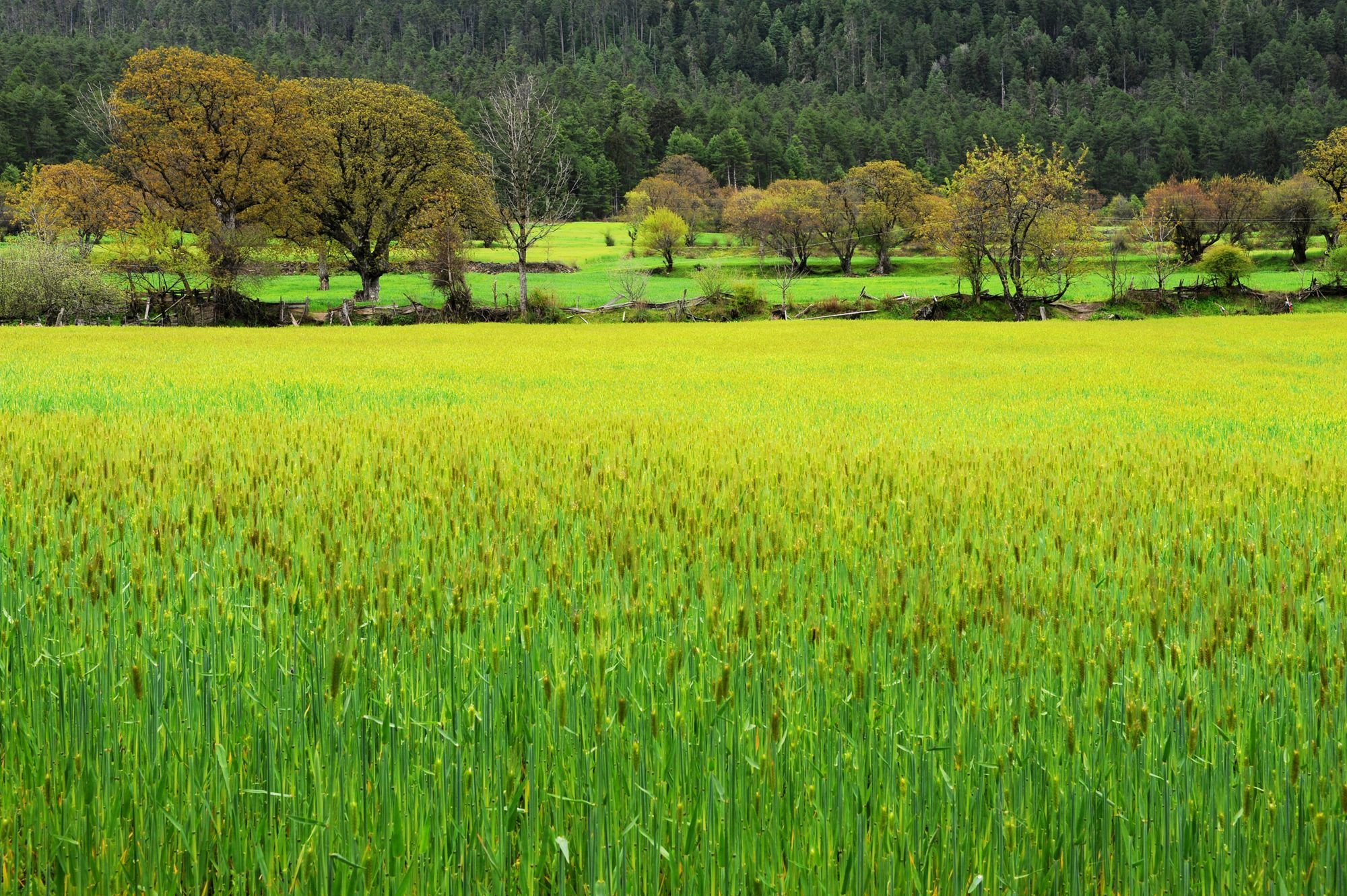 摄影,风景,私人地理,川藏线