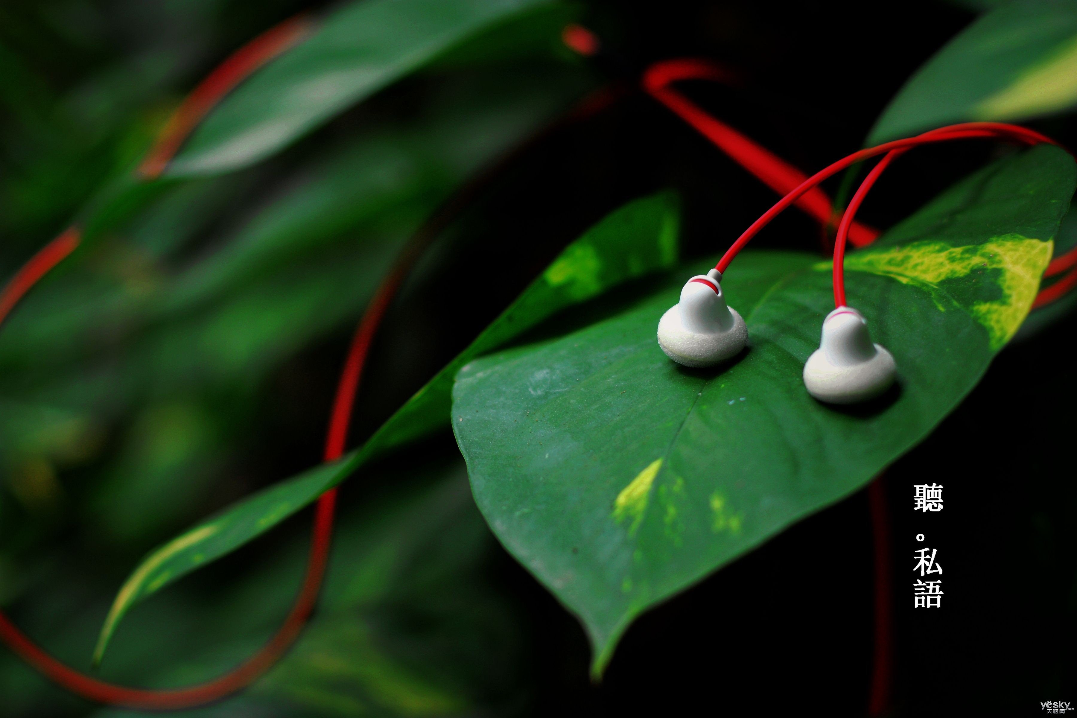 小清新,唯美,温暖,温馨一刻,静物写真