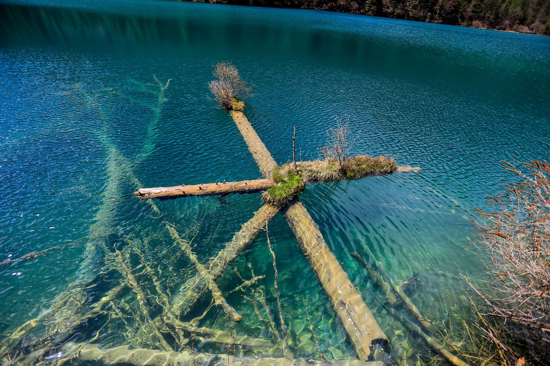 自然风光,绿色,清新,唯美,意境,炎炎夏日,旅游胜地,风景