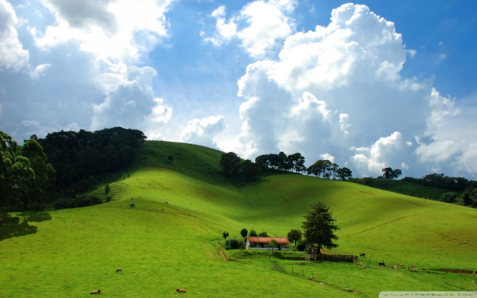 自然风光,绿色,清新,唯美,意境,炎炎夏日,旅游胜地,风景
