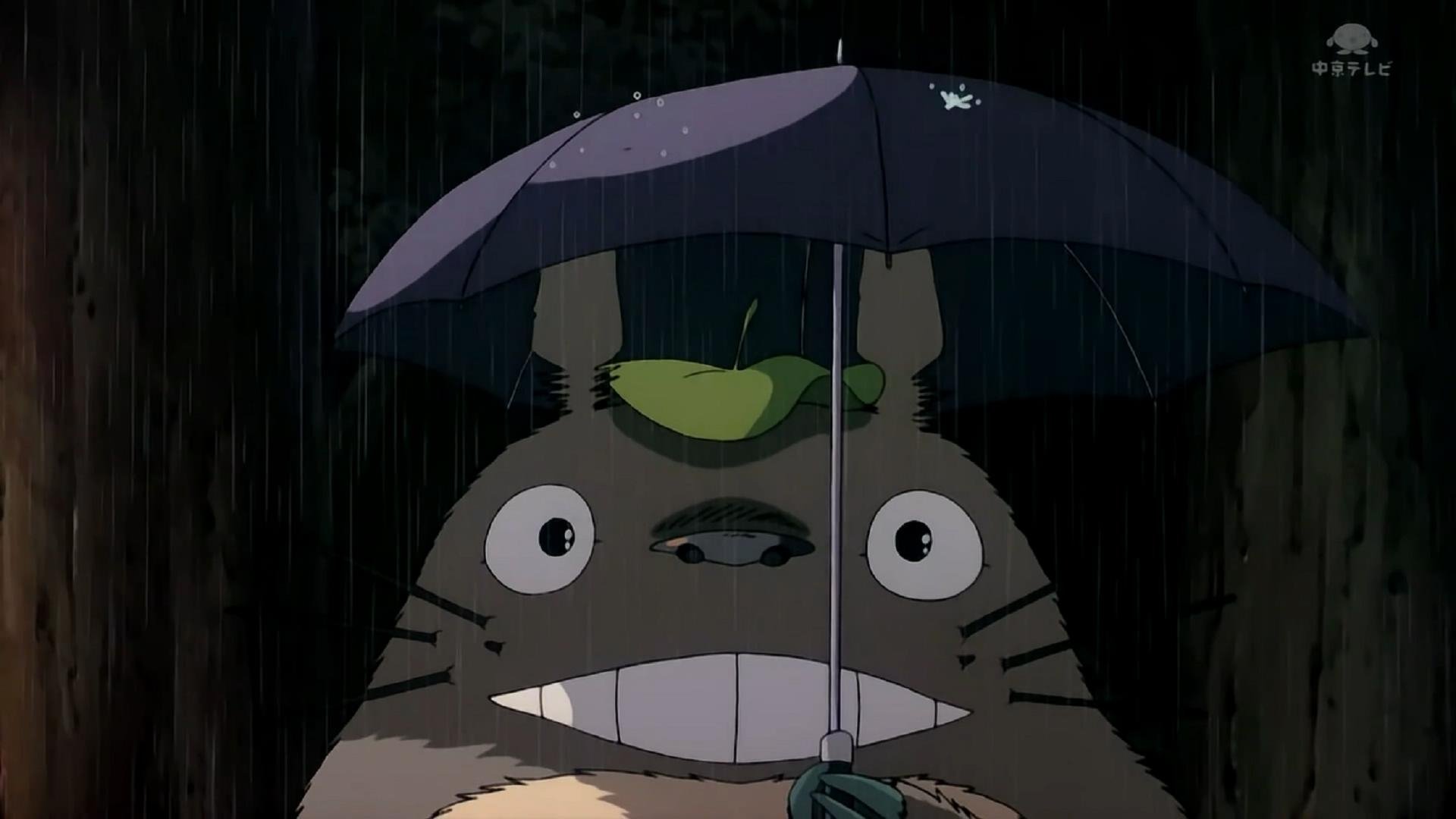 动漫,手绘,龙猫