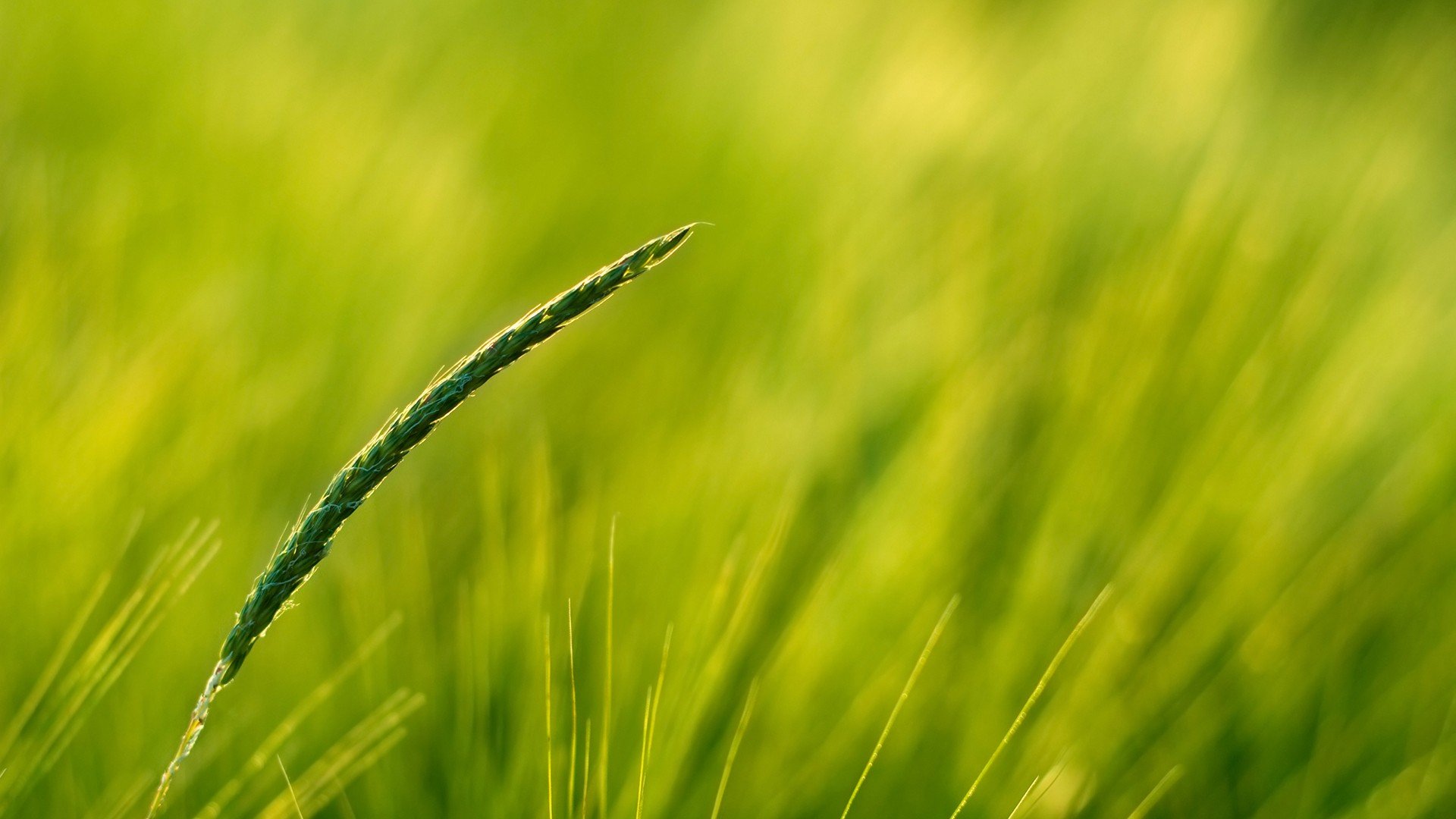 小清新,唯美,温暖,安静