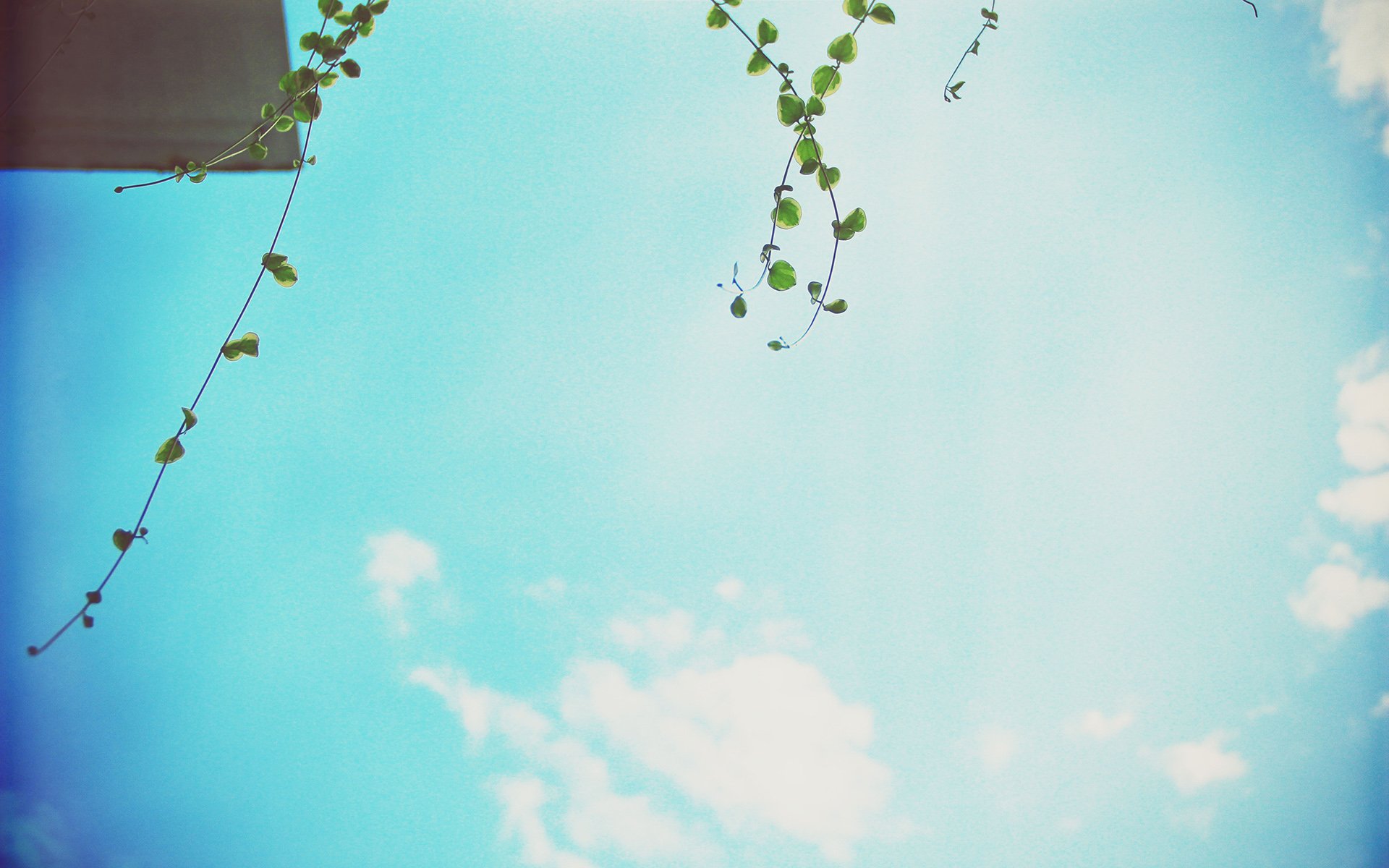 温馨一刻,小清新,风景,LOMO,复古,怀念