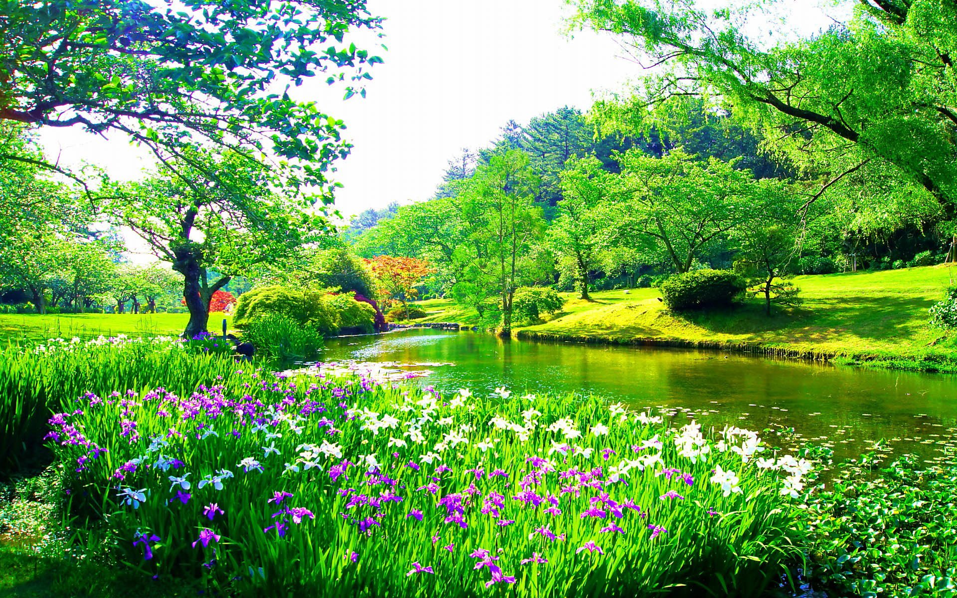 小清新,唯美,娇艳欲滴,花儿,春天,温暖,温馨一刻,清新淡雅,鸟语花香