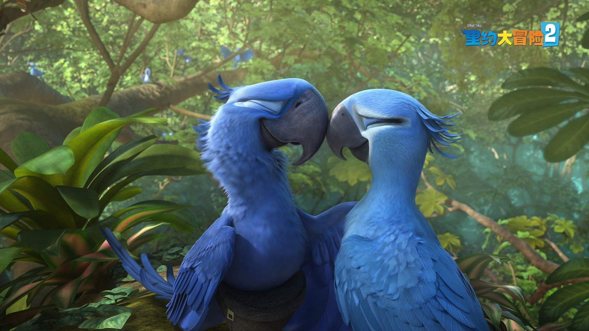 影视剧照,里约大冒险,电影