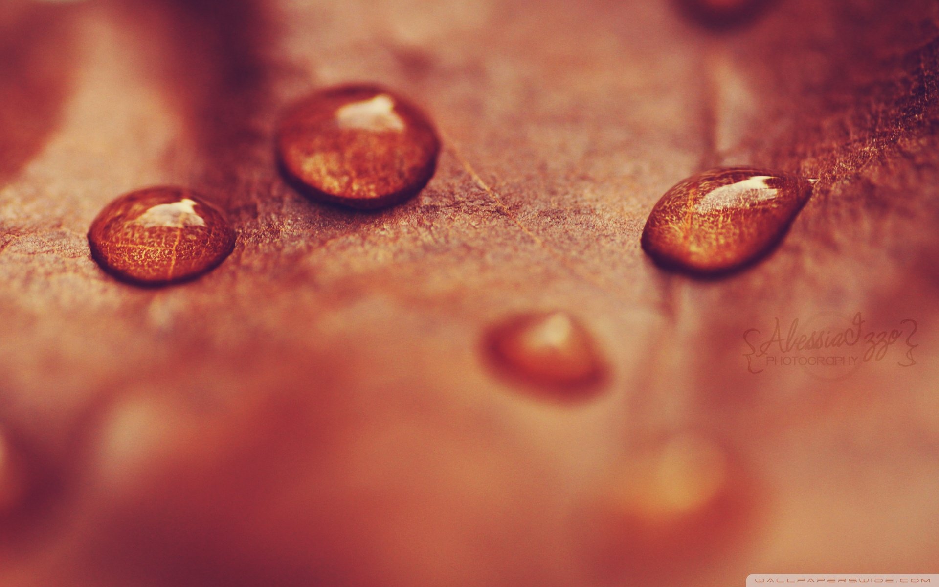 炫酷,简约,质感,特效