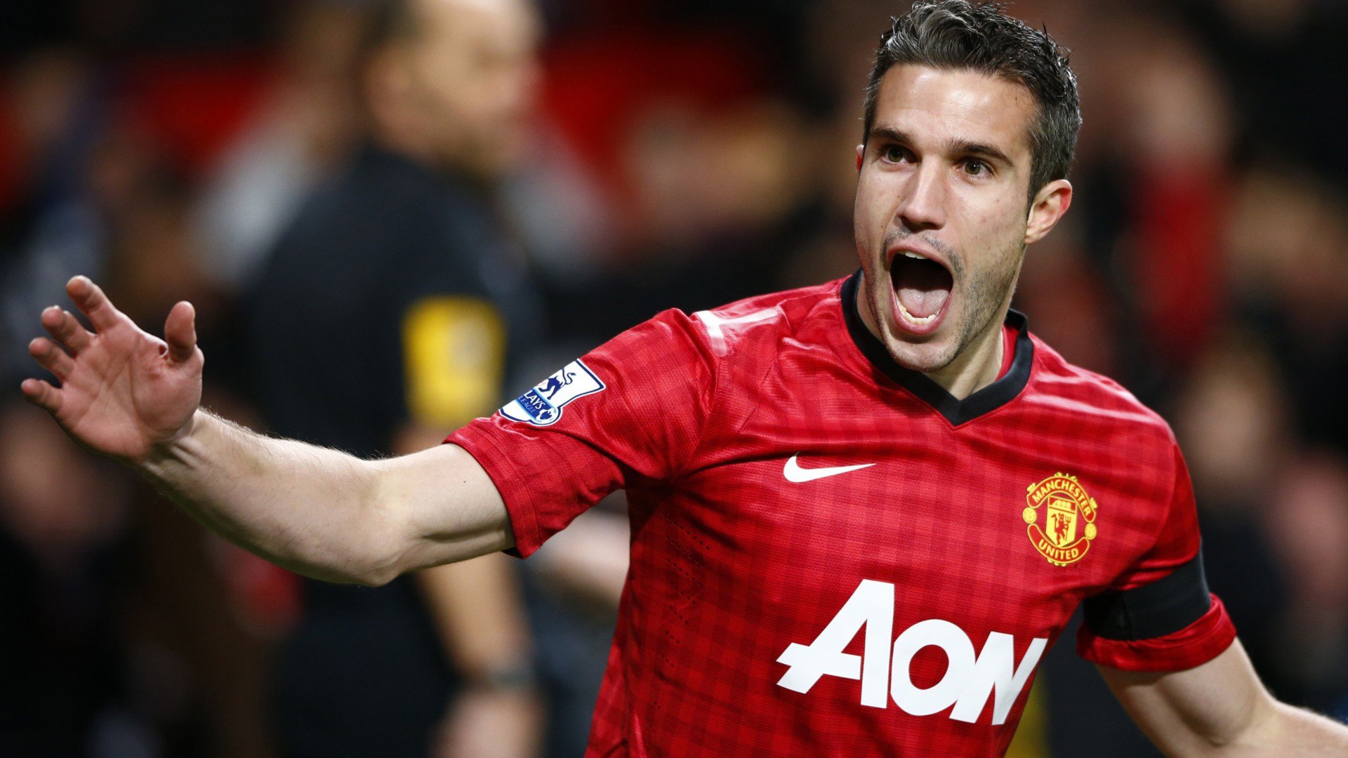 足球,运动,体育,比赛,世界杯,巴西世界杯,罗宾·范佩西