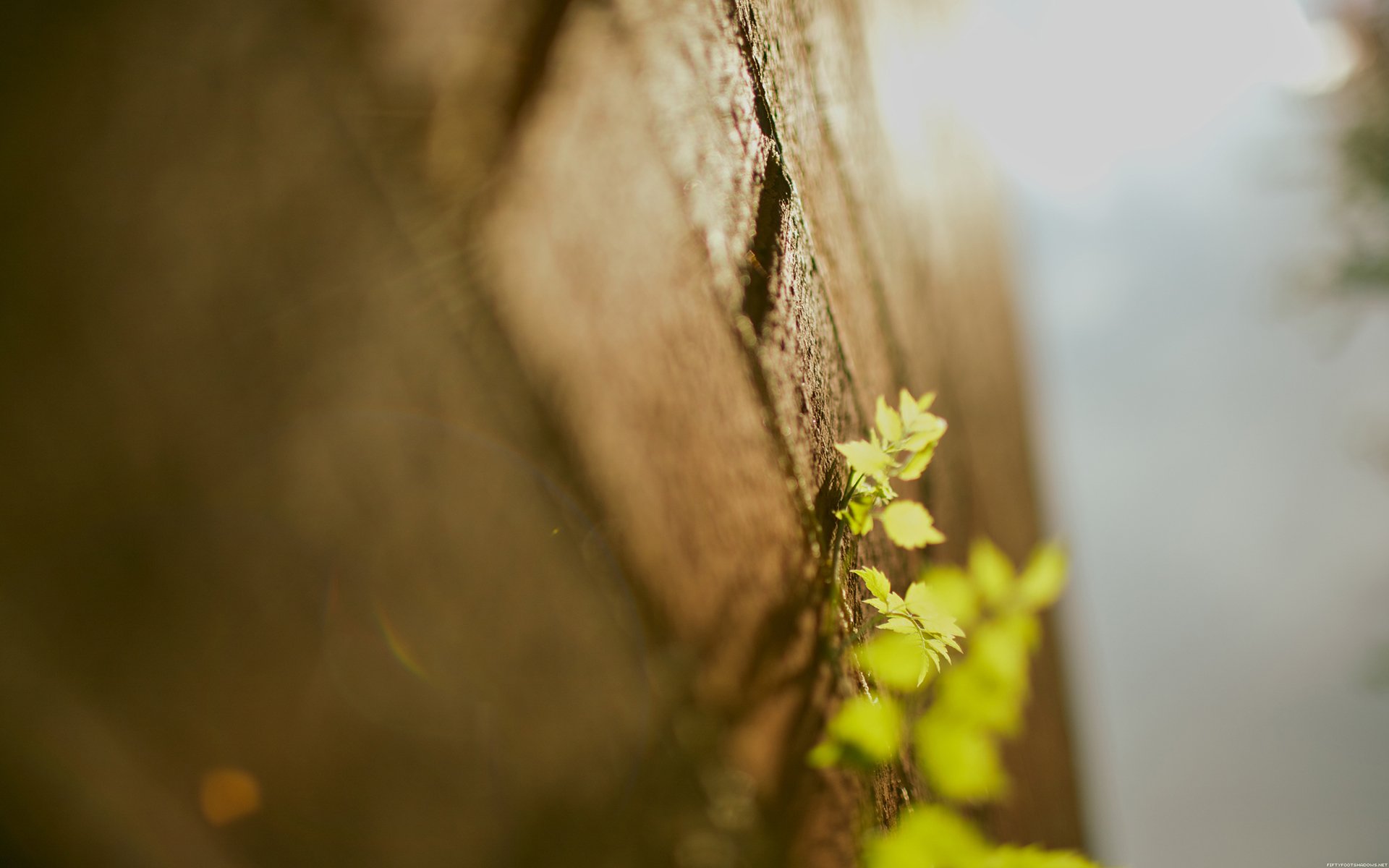 温馨一刻,小清新,风景,LOMO,复古,怀念