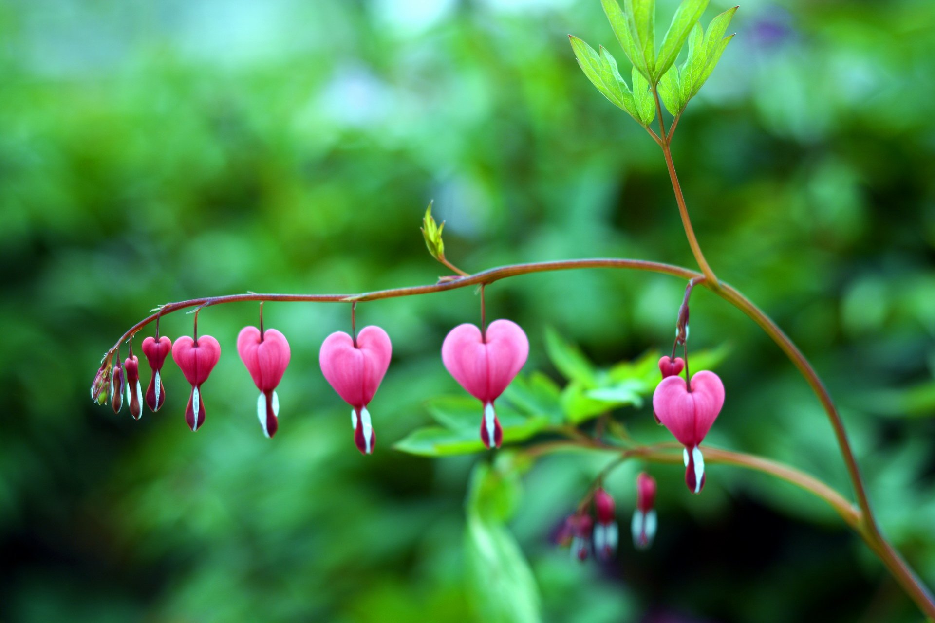 摄影,风景,摄影师卜凡文