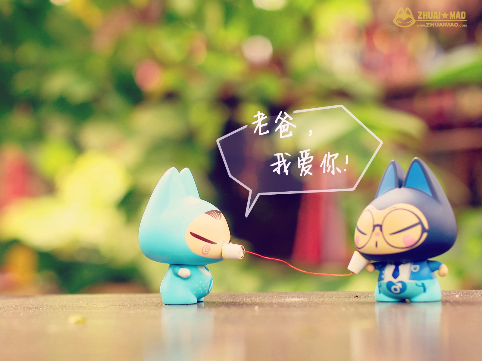 拽猫,父亲节,摄影,小清新,静物,写真