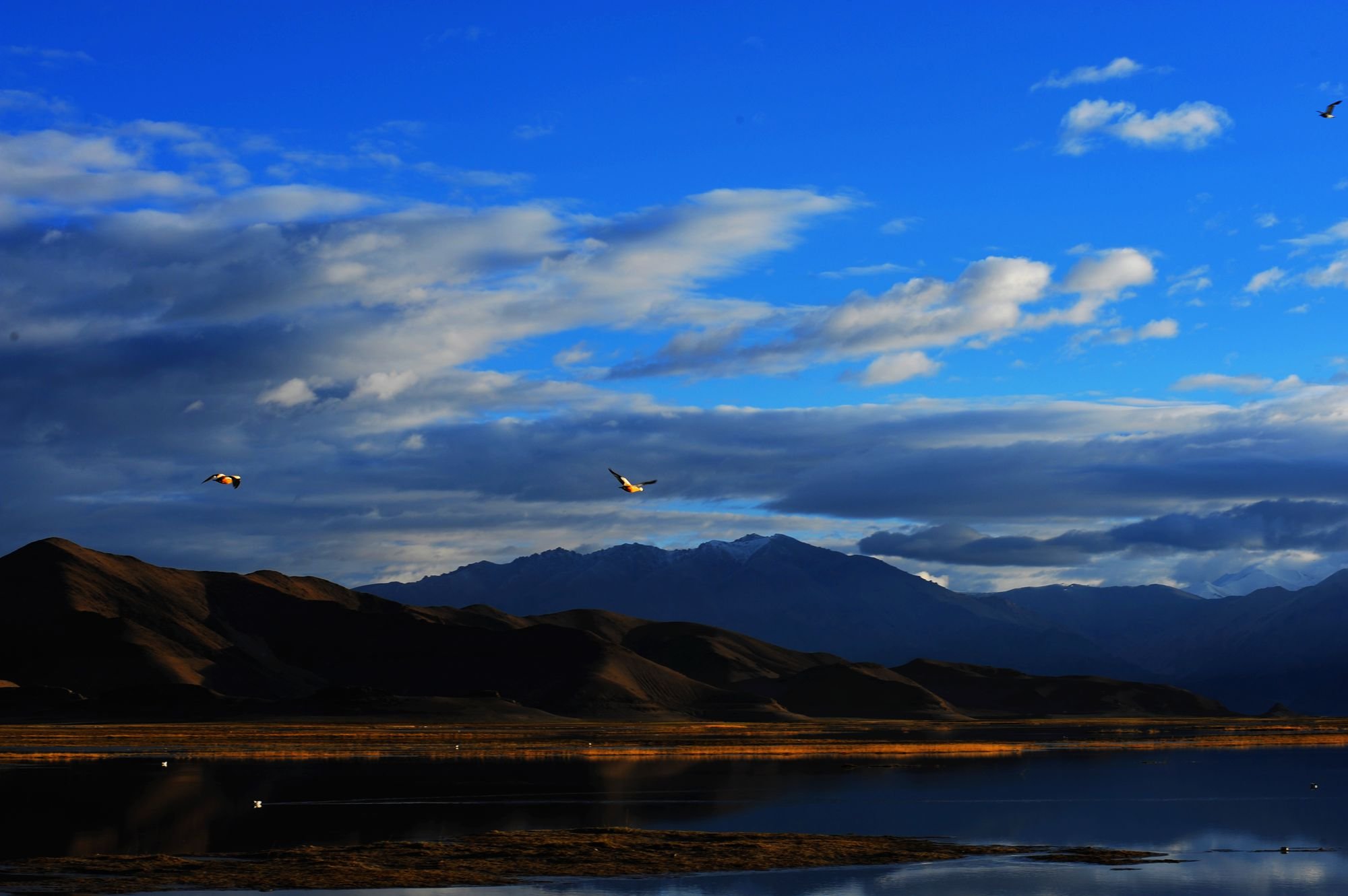 摄影,风景,私人地理,班公湖