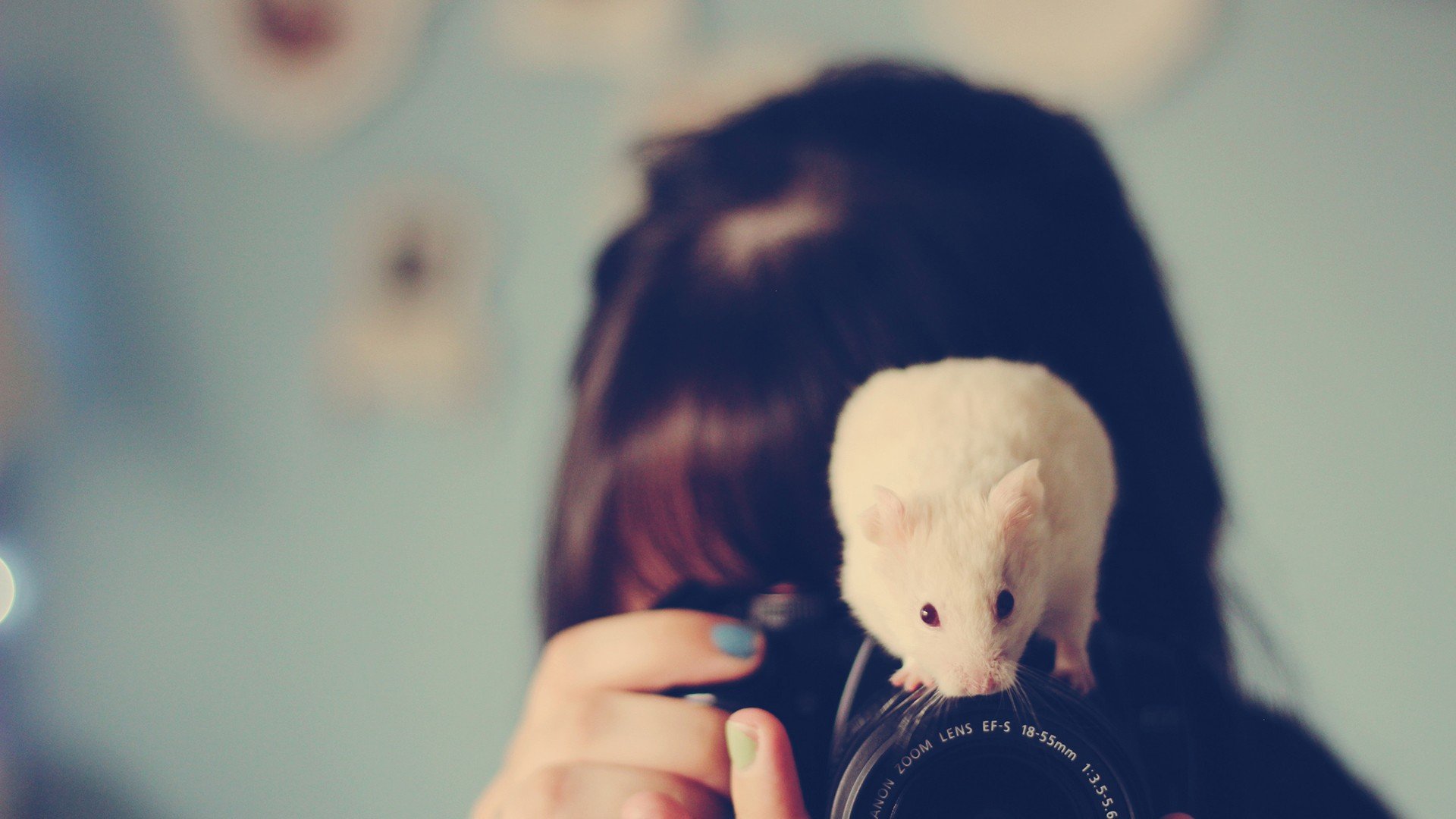 小清新,唯美,温暖,温馨一刻,静物写真