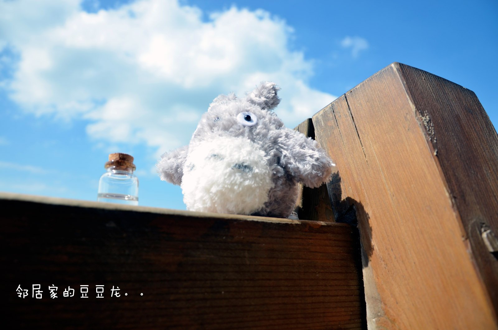 小清新,唯美,温暖,温馨一刻,静物写真,龙猫