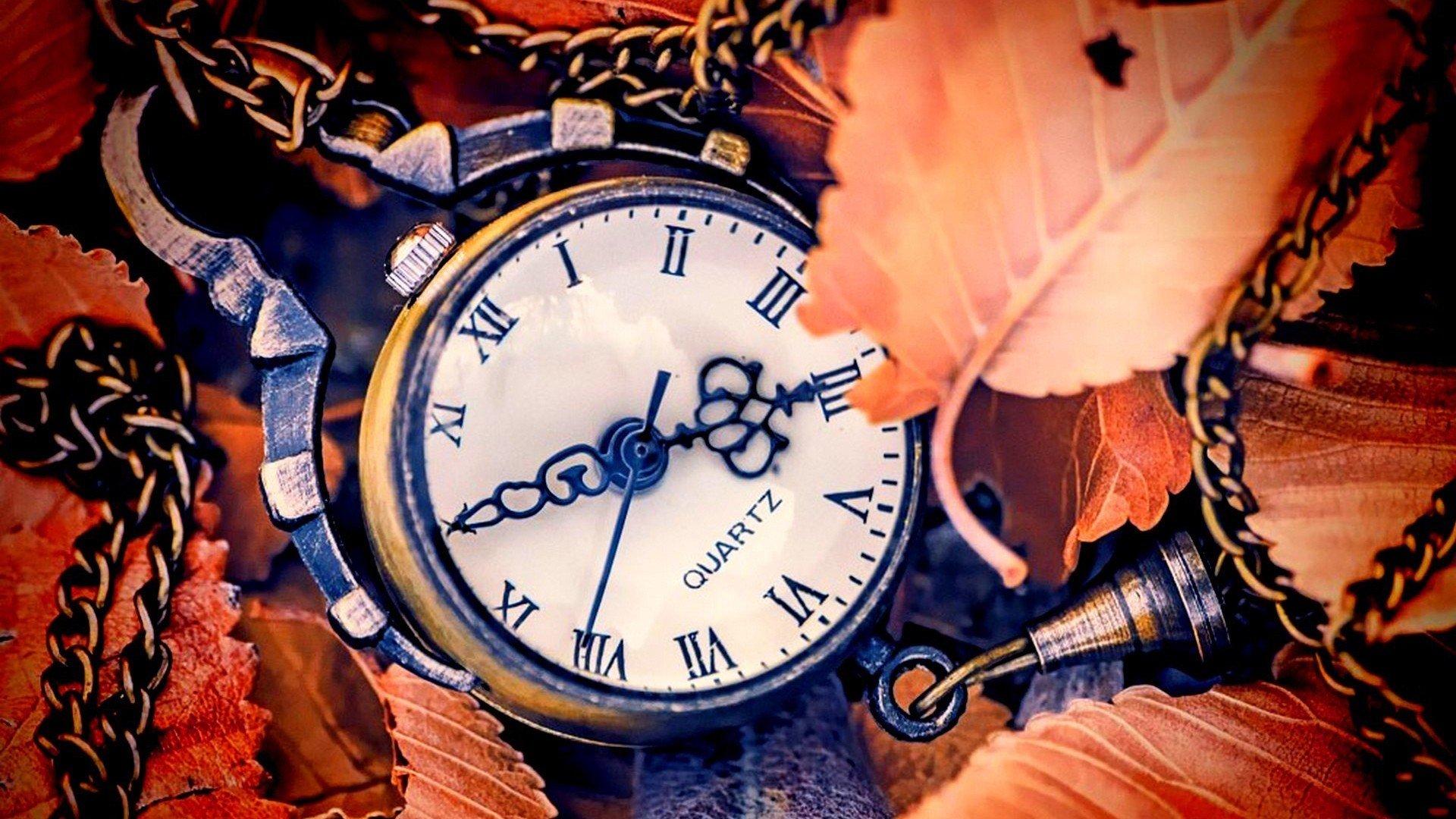 小清新,唯美,温暖,温馨一刻,静物写真