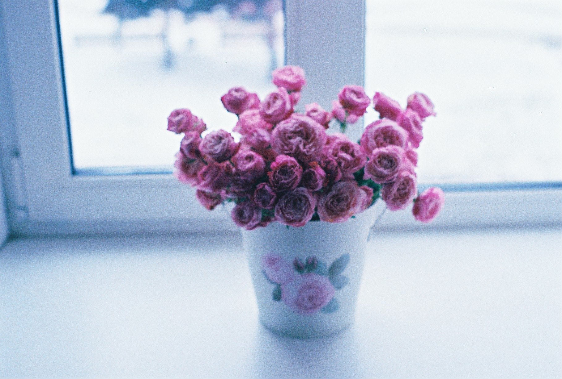 小清新,唯美,娇艳欲滴,花儿,春天,温暖,温馨一刻,清新淡雅,鸟语花香