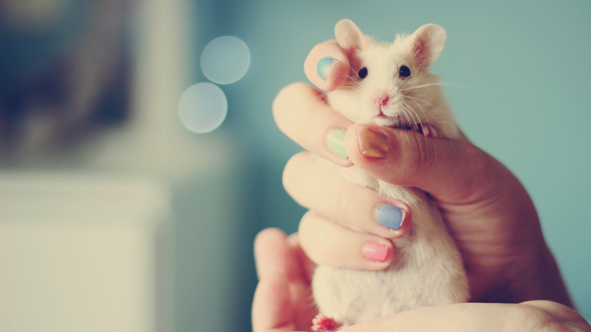 小清新,唯美,温暖,温馨一刻,静物写真