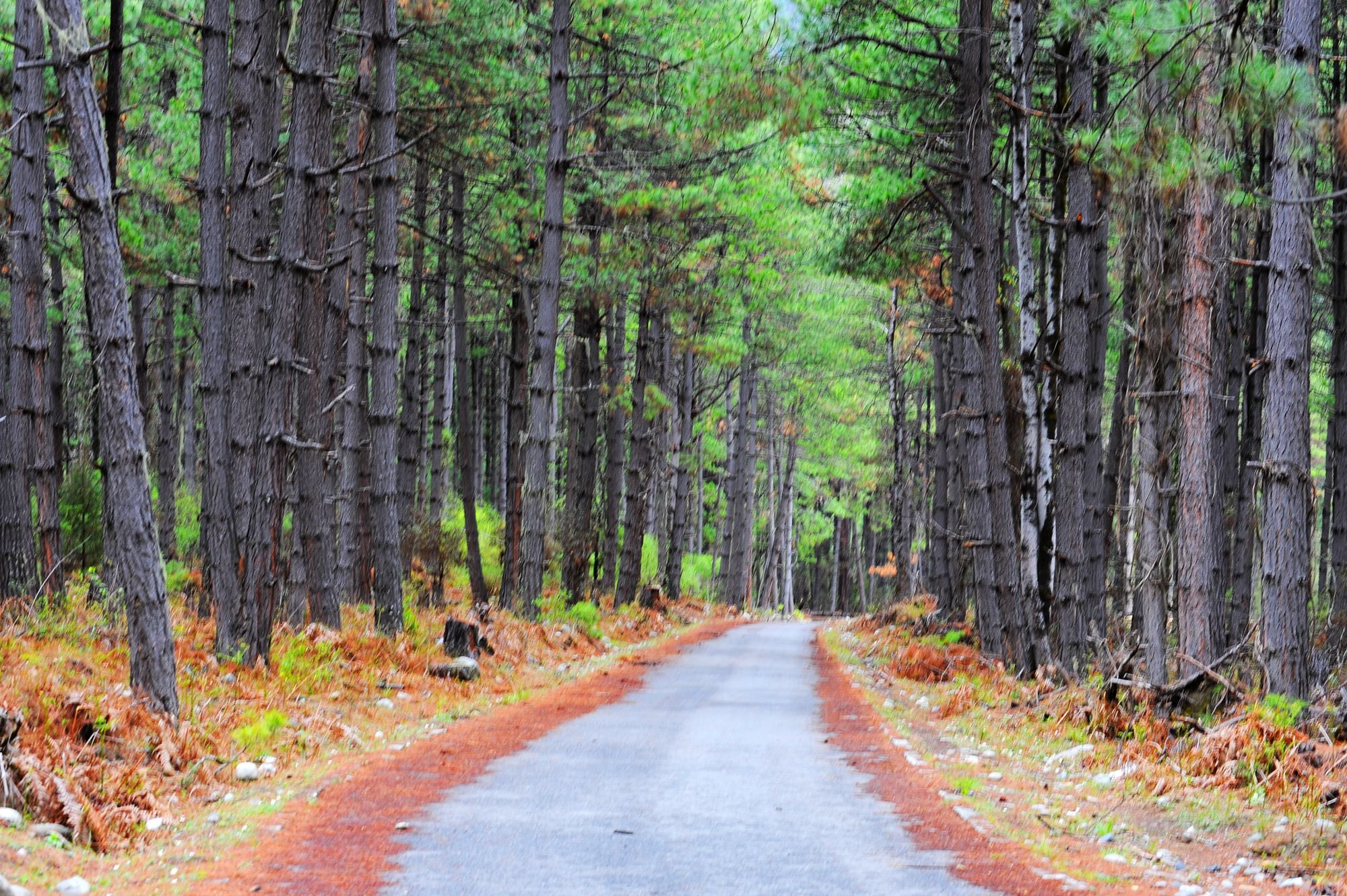 摄影,风景,私人地理,川藏线