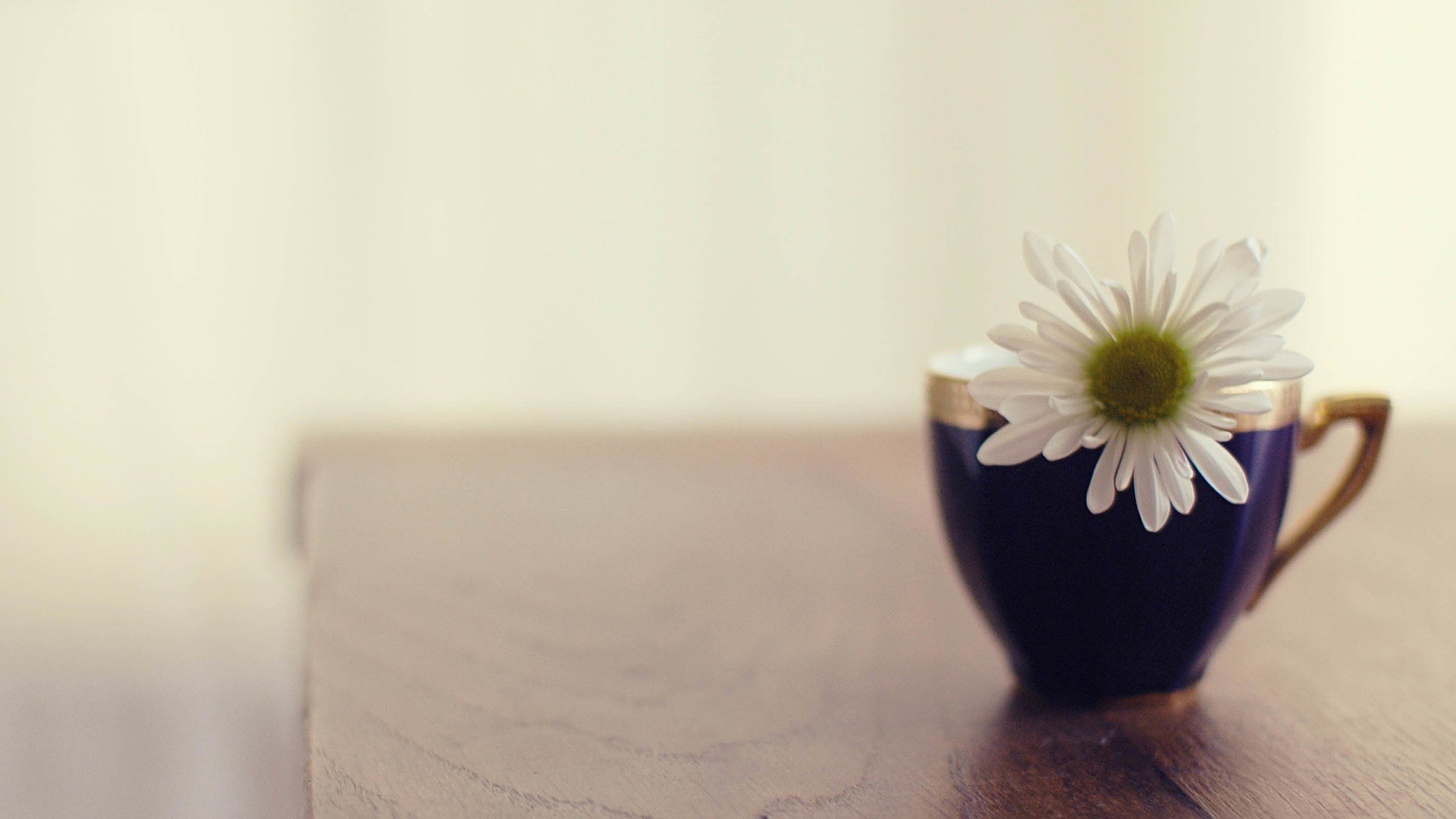 小清新,唯美,温暖,温馨一刻,静物写真