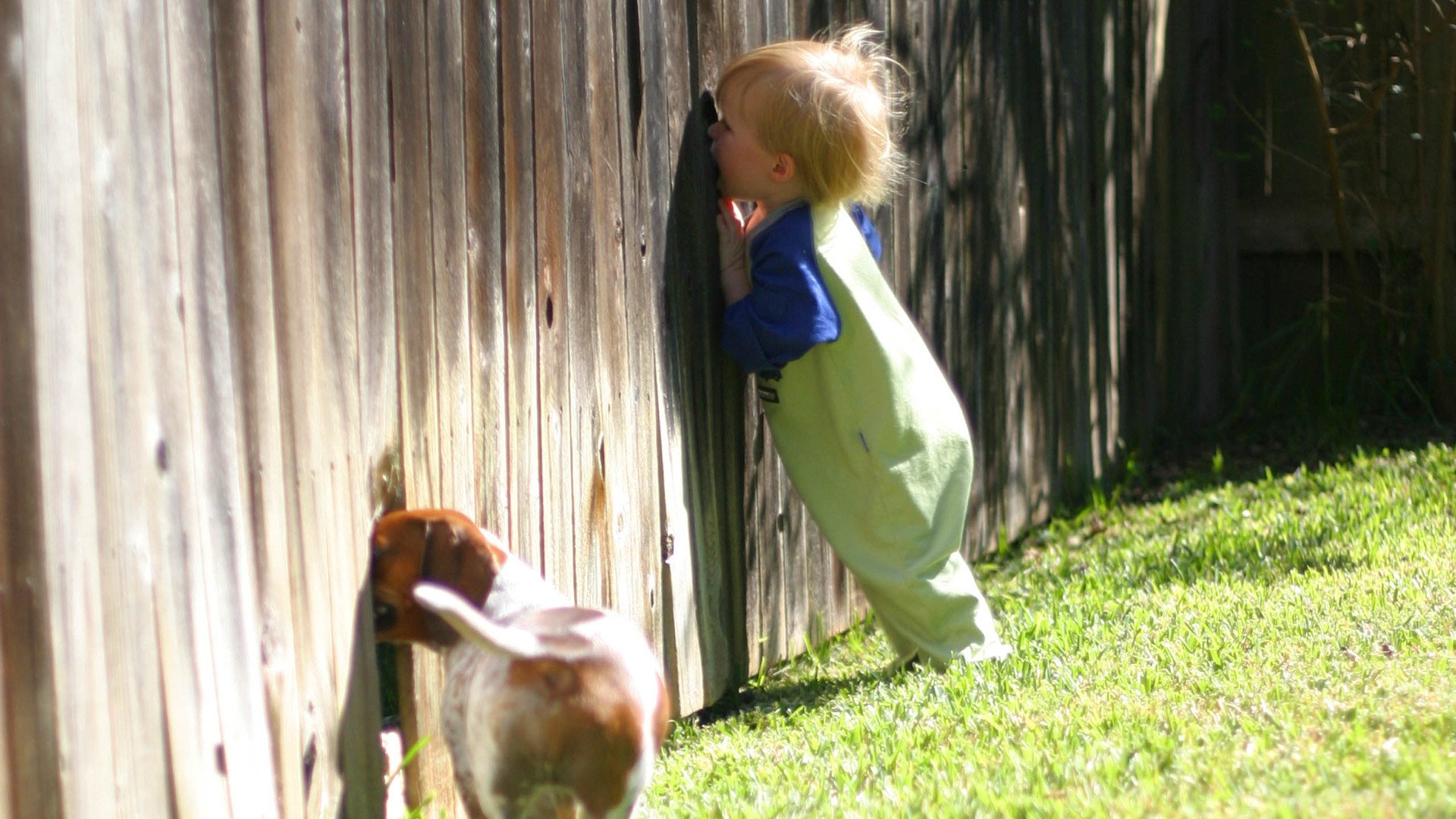 宝宝,童年,孩子,儿童,温暖,温馨