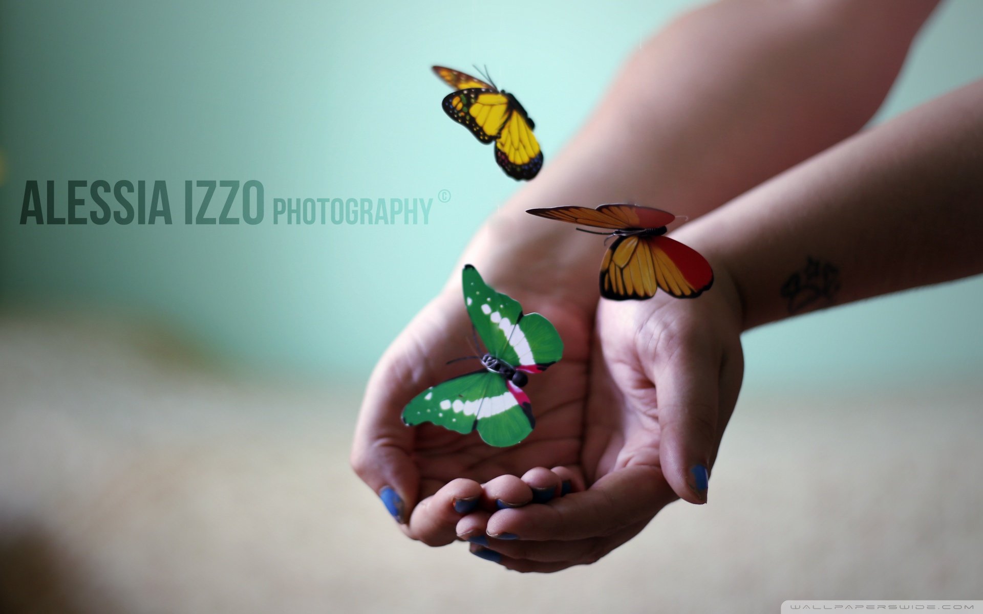 小清新,唯美,温暖,安静