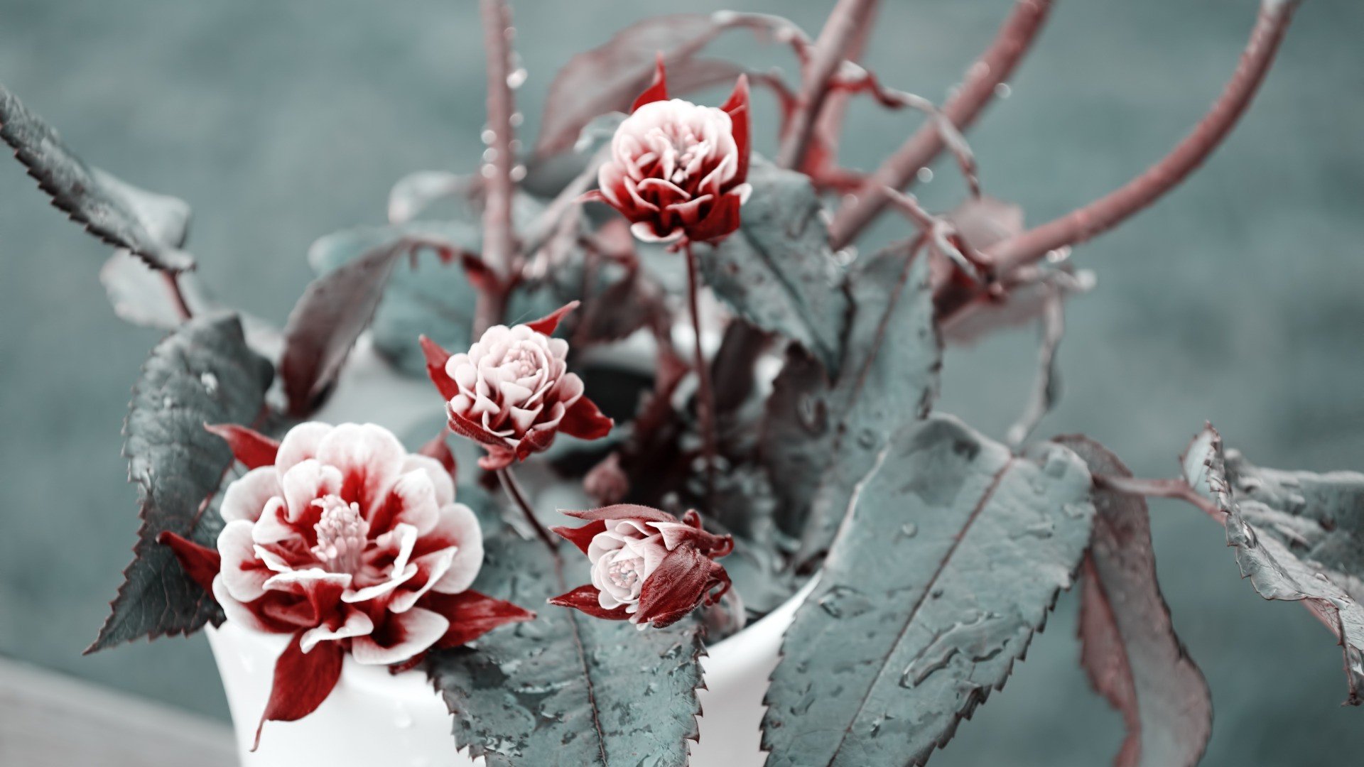 小清新,唯美,温暖,安静