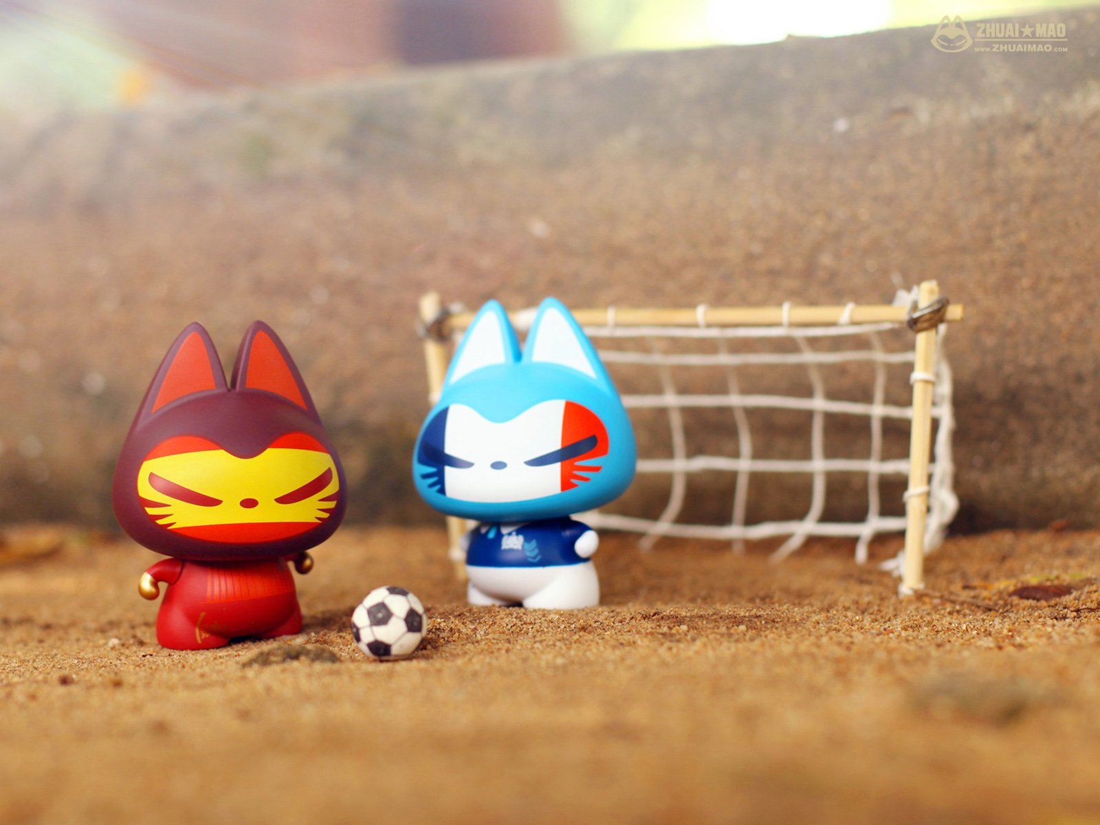 拽猫,静物,世界杯