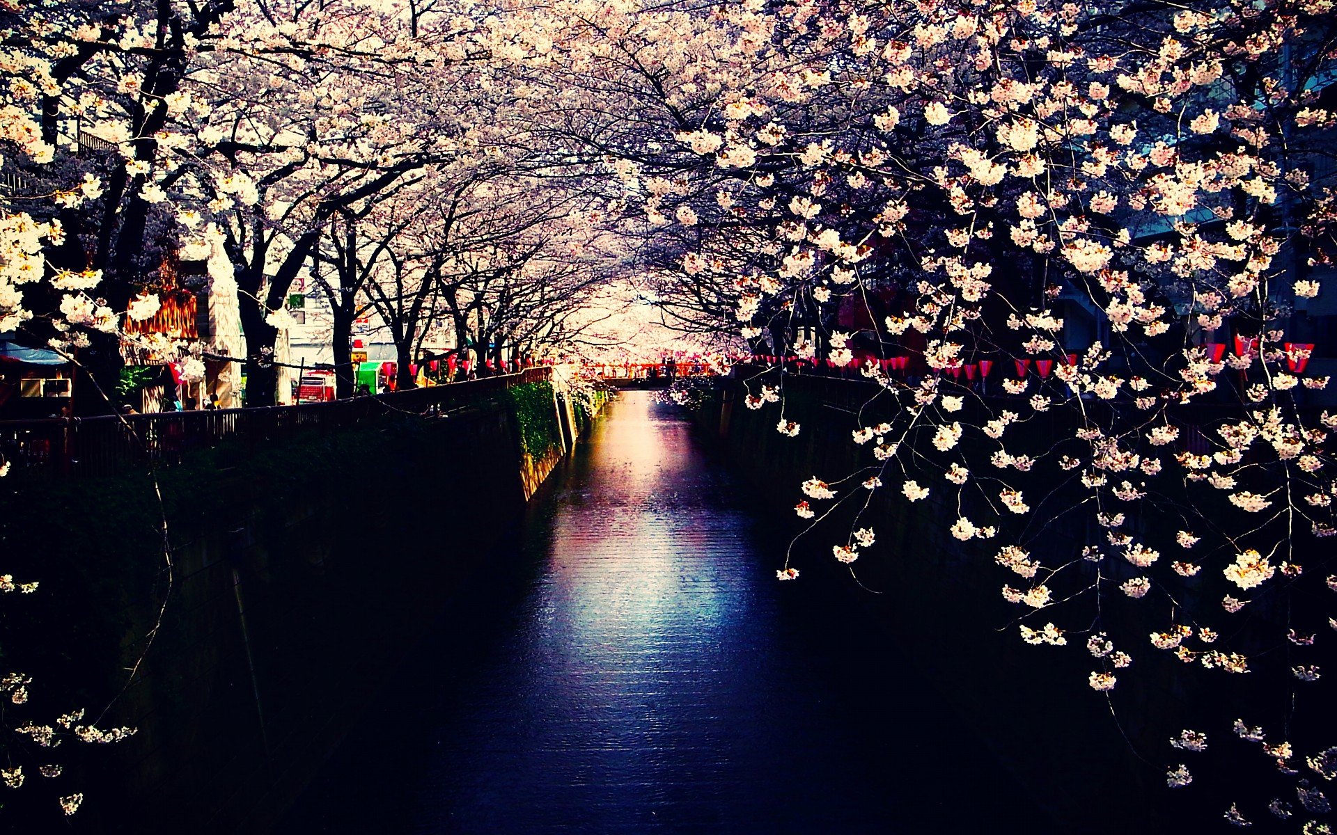 小清新,唯美,娇艳欲滴,花儿,春天,温暖,温馨一刻,清新淡雅,鸟语花香