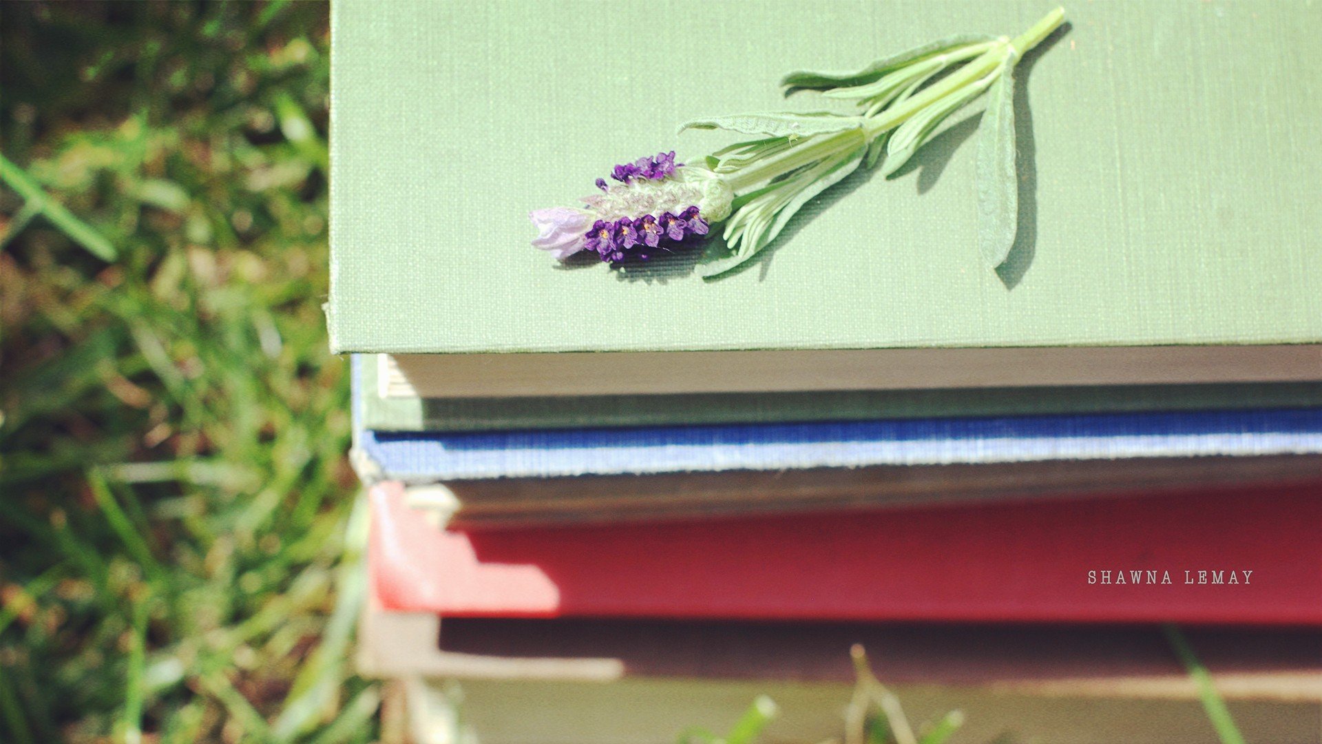 小清新,唯美,温暖,温馨一刻,静物写真