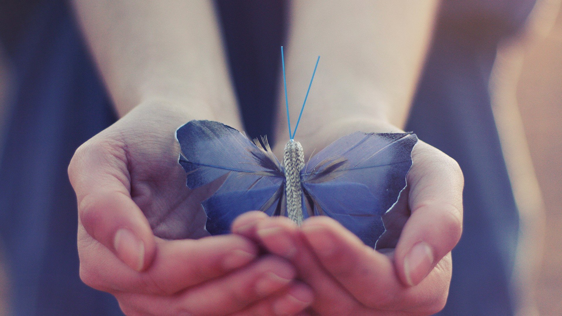 小清新,唯美,温暖,温馨一刻,静物写真