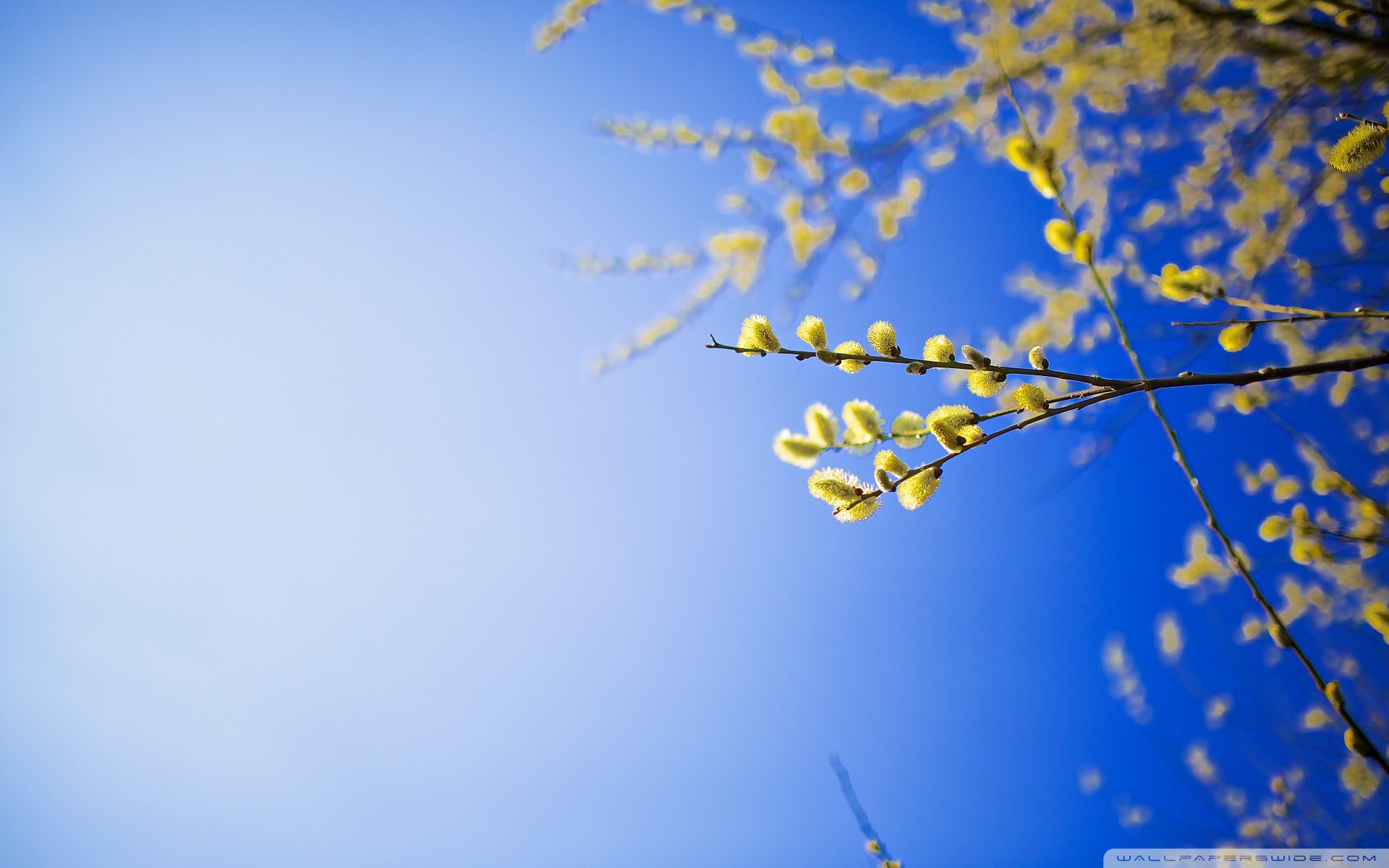 自然风光,绿色,清新,唯美,意境,炎炎夏日,旅游胜地,风景