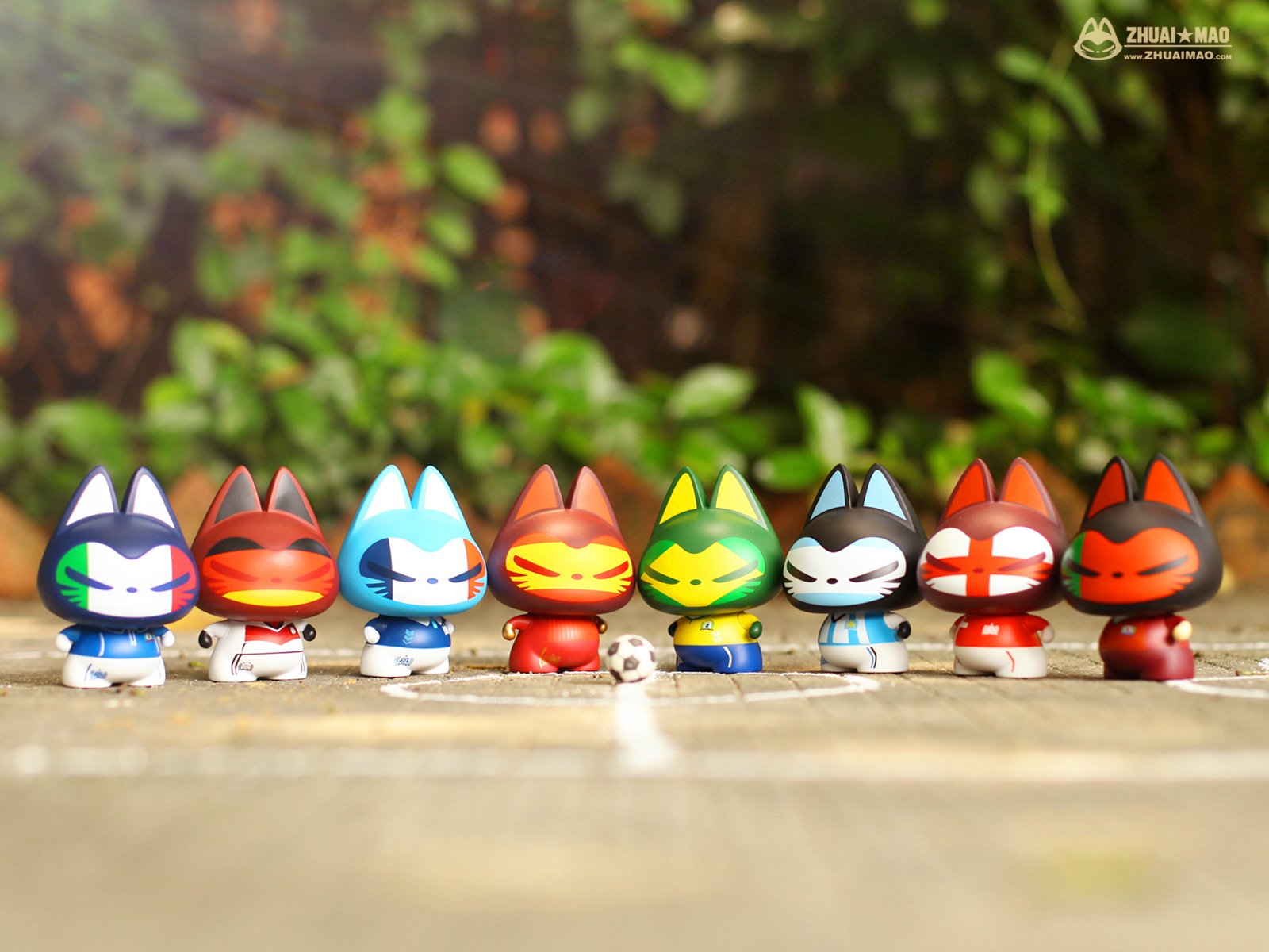 拽猫,静物,世界杯