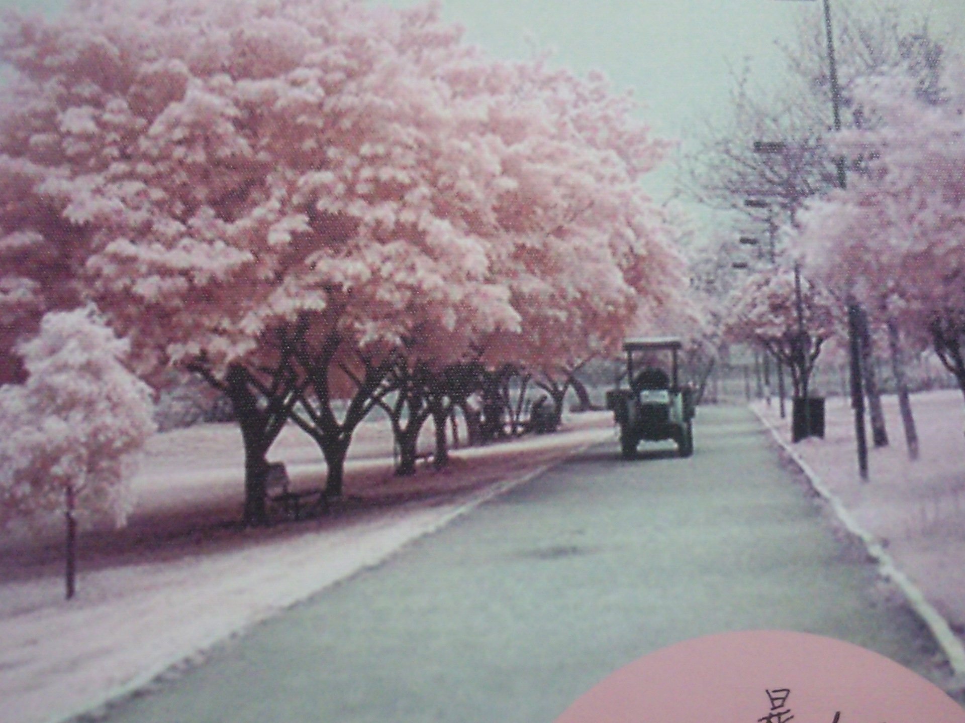 温馨一刻,小清新,风景,LOMO,复古,怀念