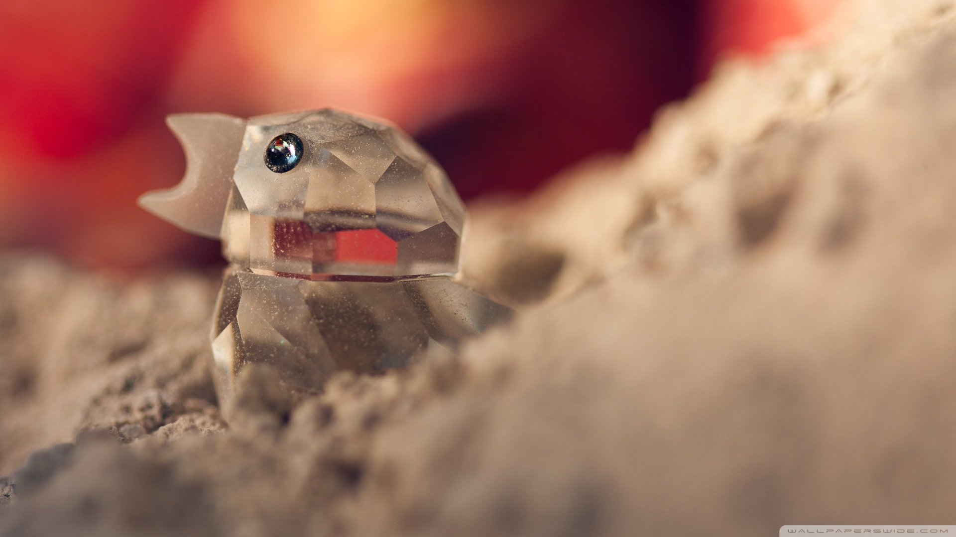 小清新,唯美,温暖,温馨一刻,静物写真