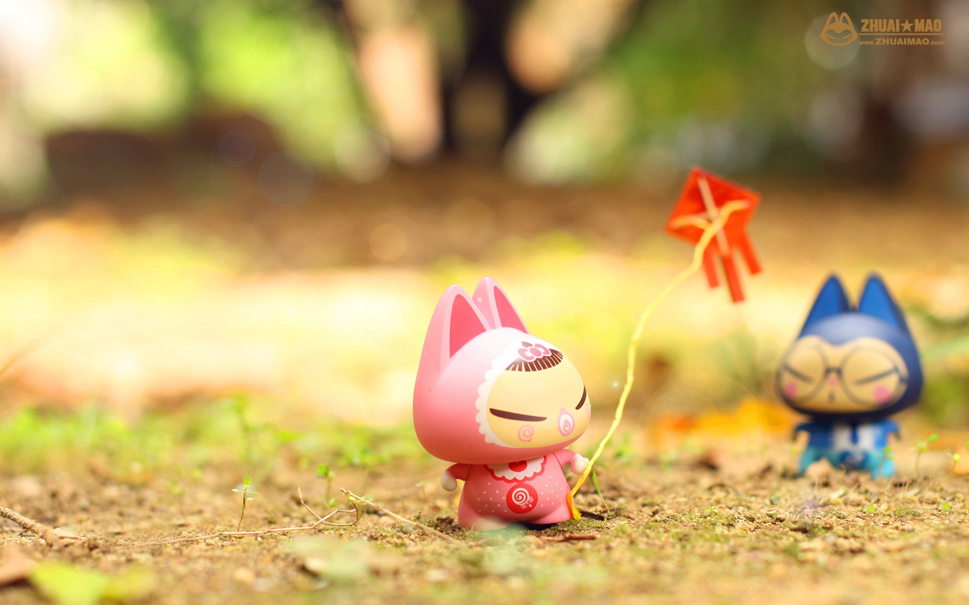 拽猫,父亲节,摄影,小清新,静物,写真