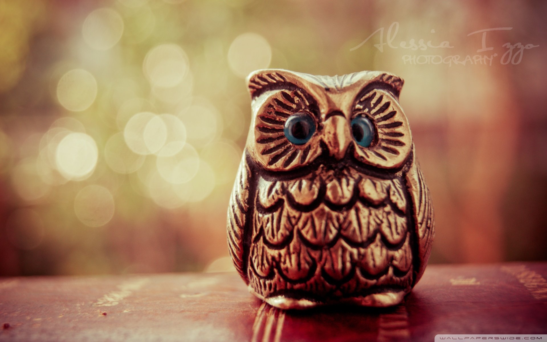 小清新,唯美,温暖,温馨一刻,静物写真