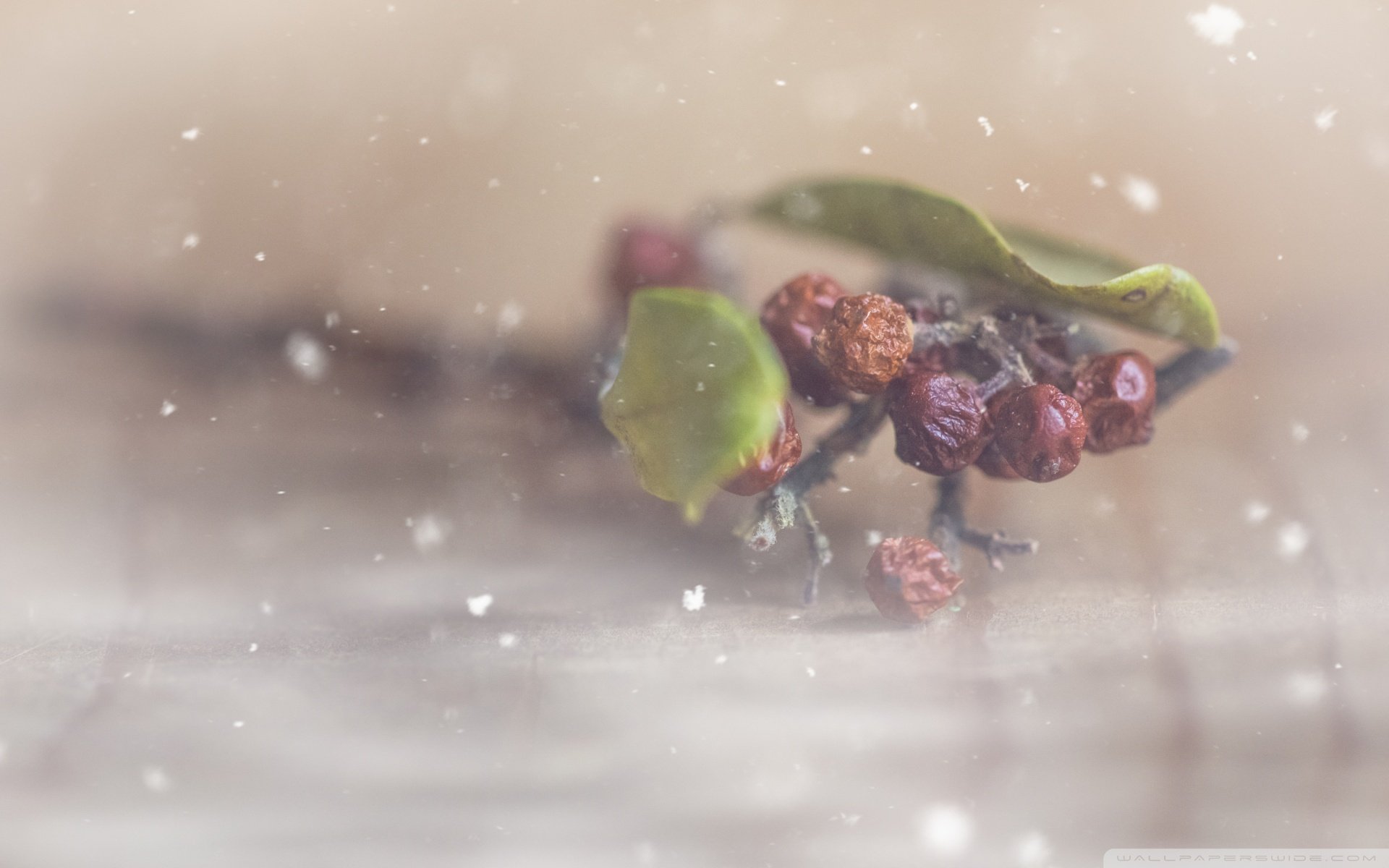 小清新,唯美,温暖,安静