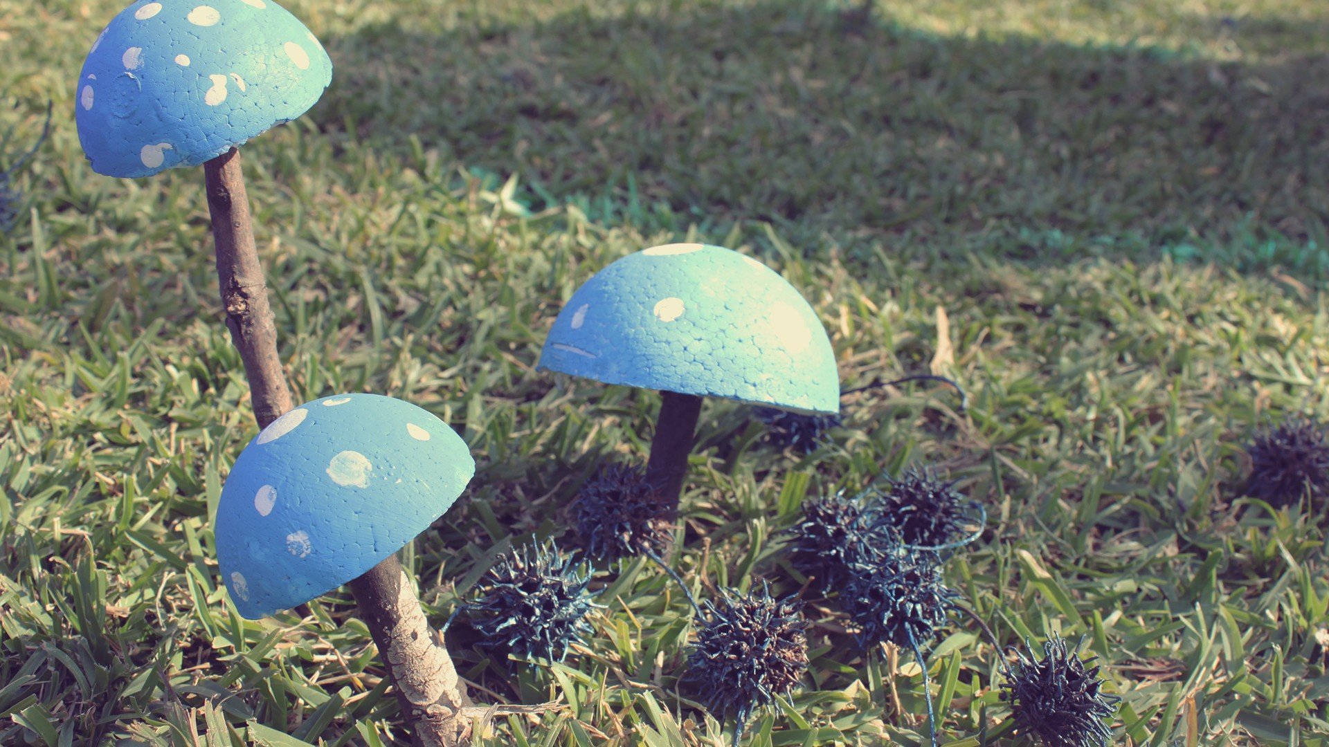 小清新,唯美,温暖,安静