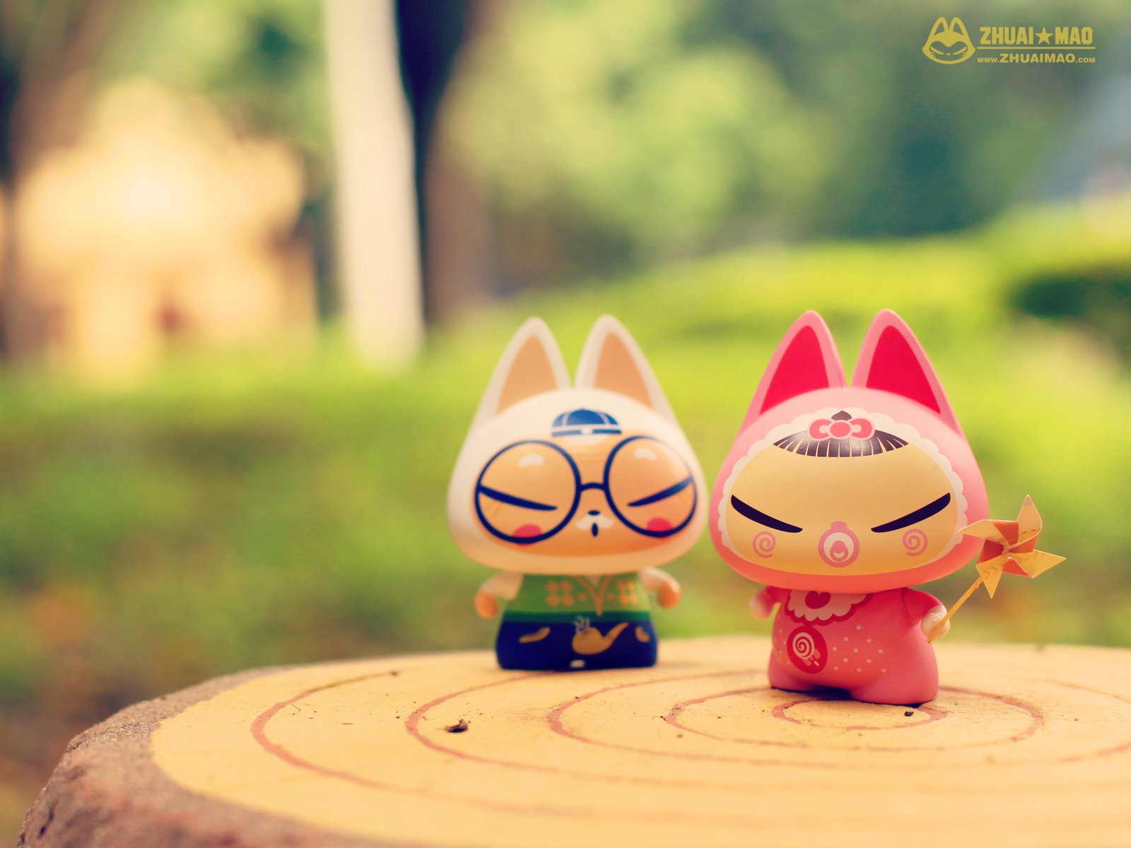 拽猫,父亲节,摄影,小清新,静物,写真