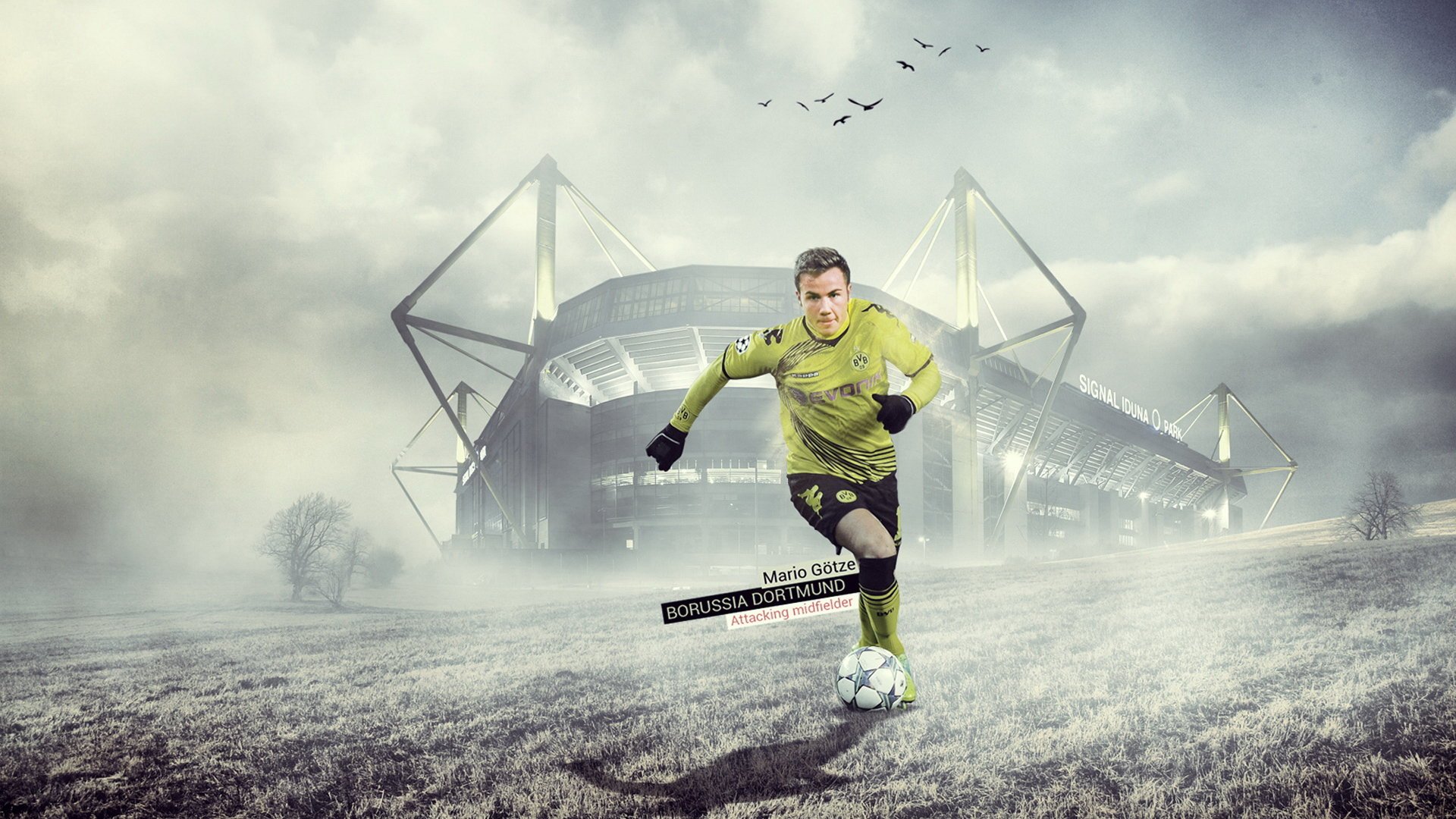 足球,运动,体育,比赛,世界杯,巴西世界杯