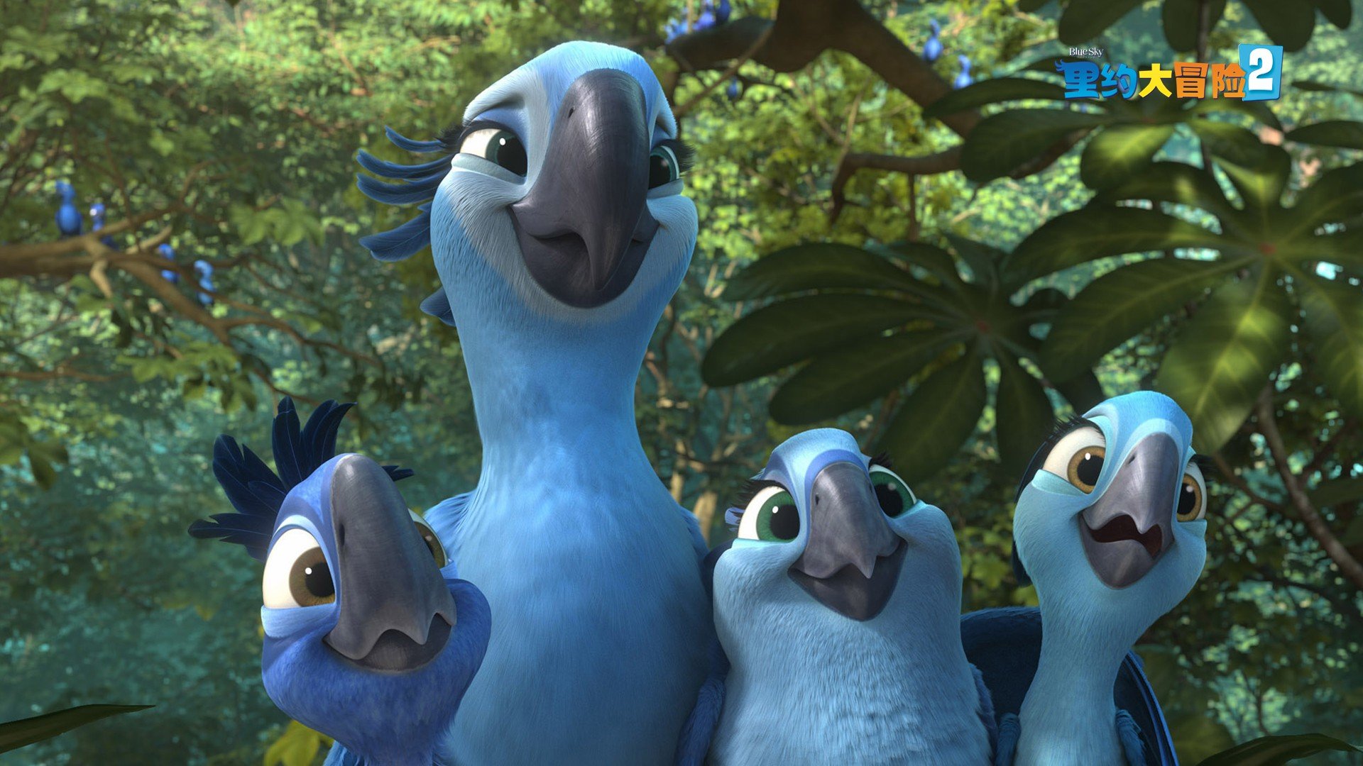 影视剧照,里约大冒险,电影