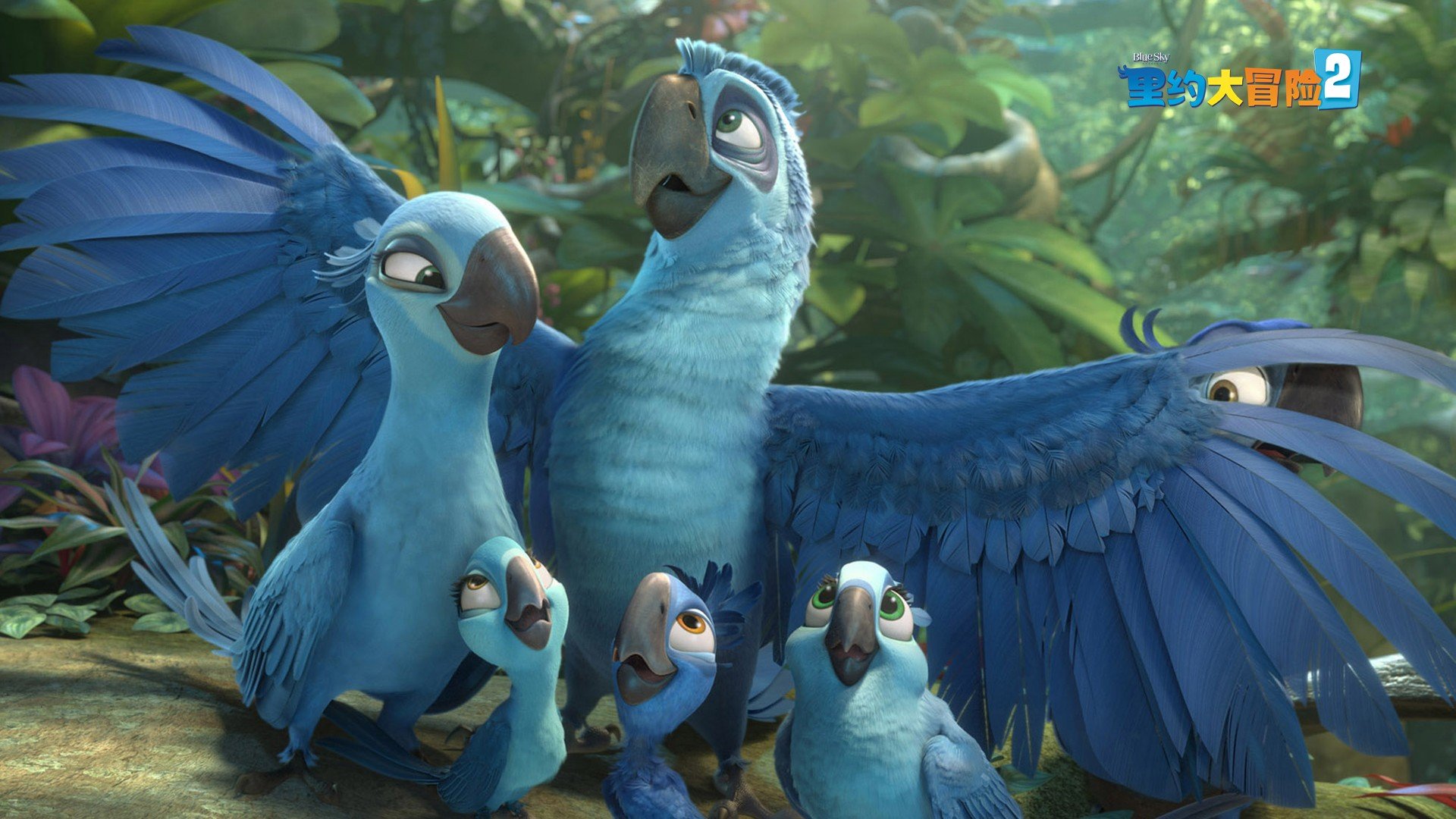 影视剧照,里约大冒险,电影