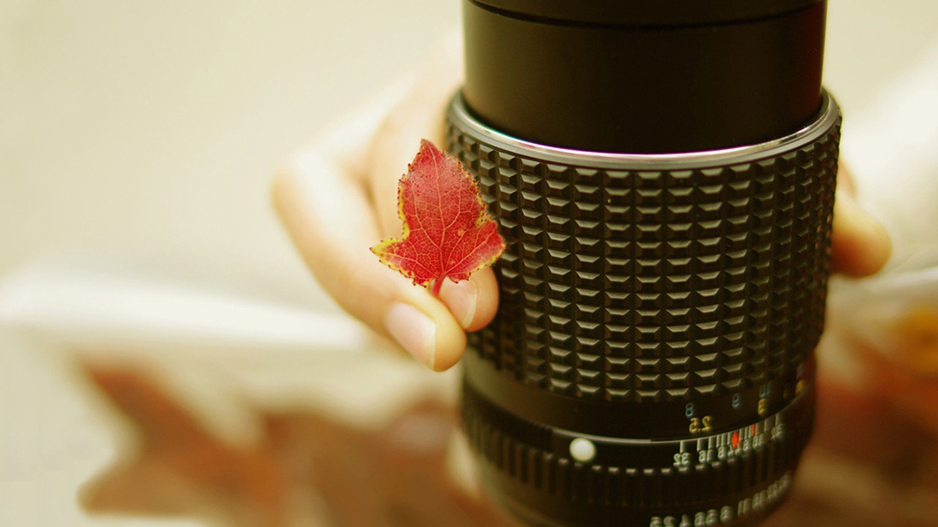 小清新,唯美,温暖,温馨一刻,静物写真