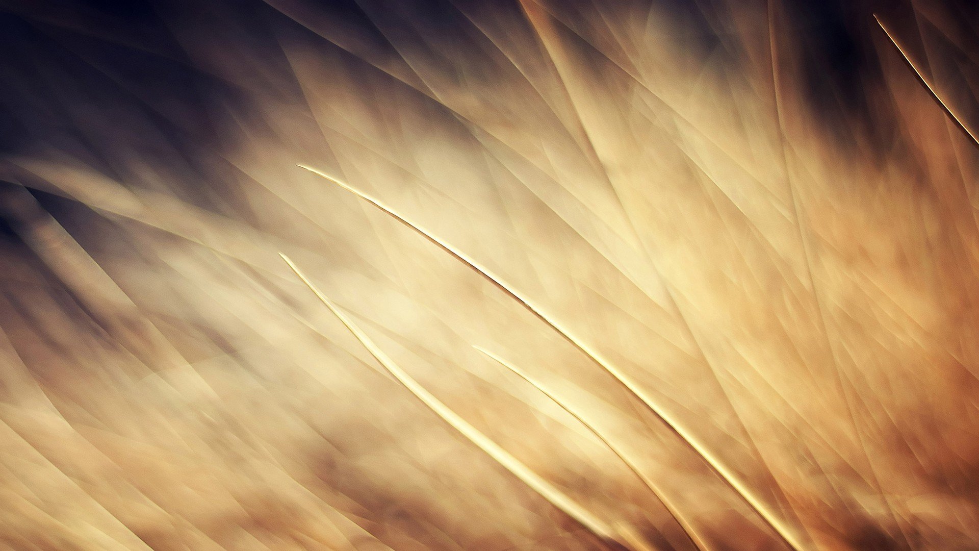 小清新,唯美,温暖,安静