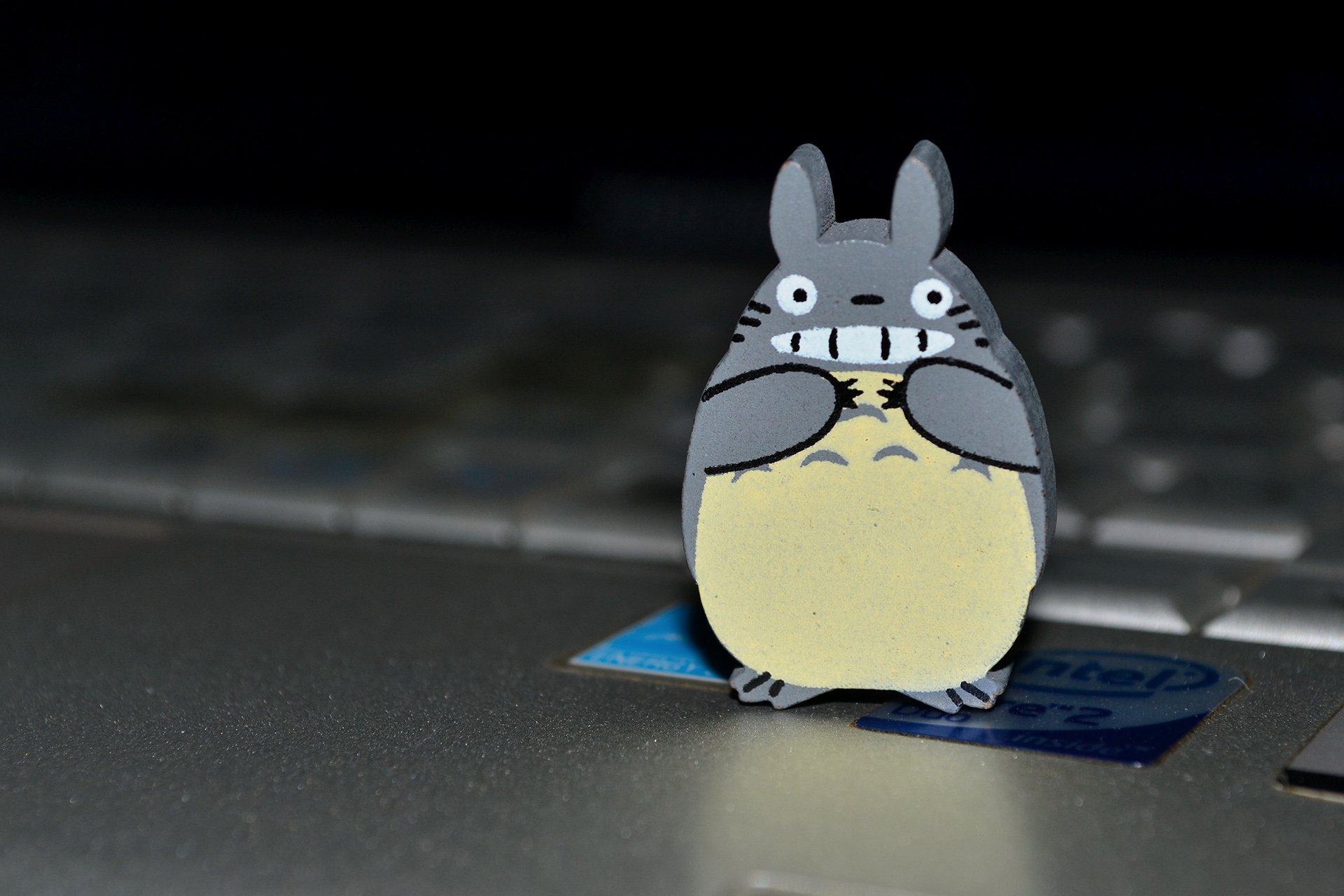 小清新,唯美,温暖,温馨一刻,静物写真,龙猫