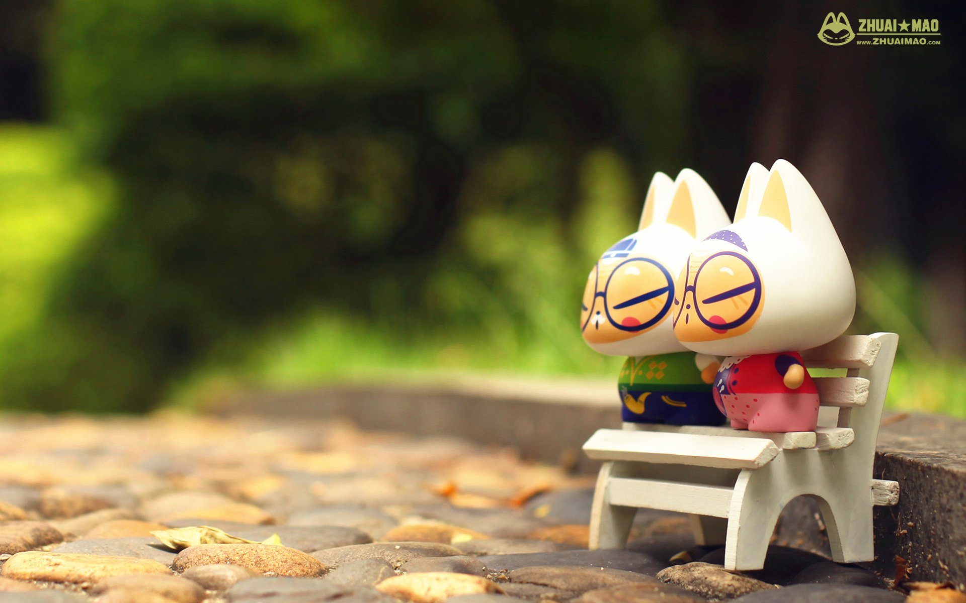 拽猫,父亲节,摄影,小清新,静物,写真