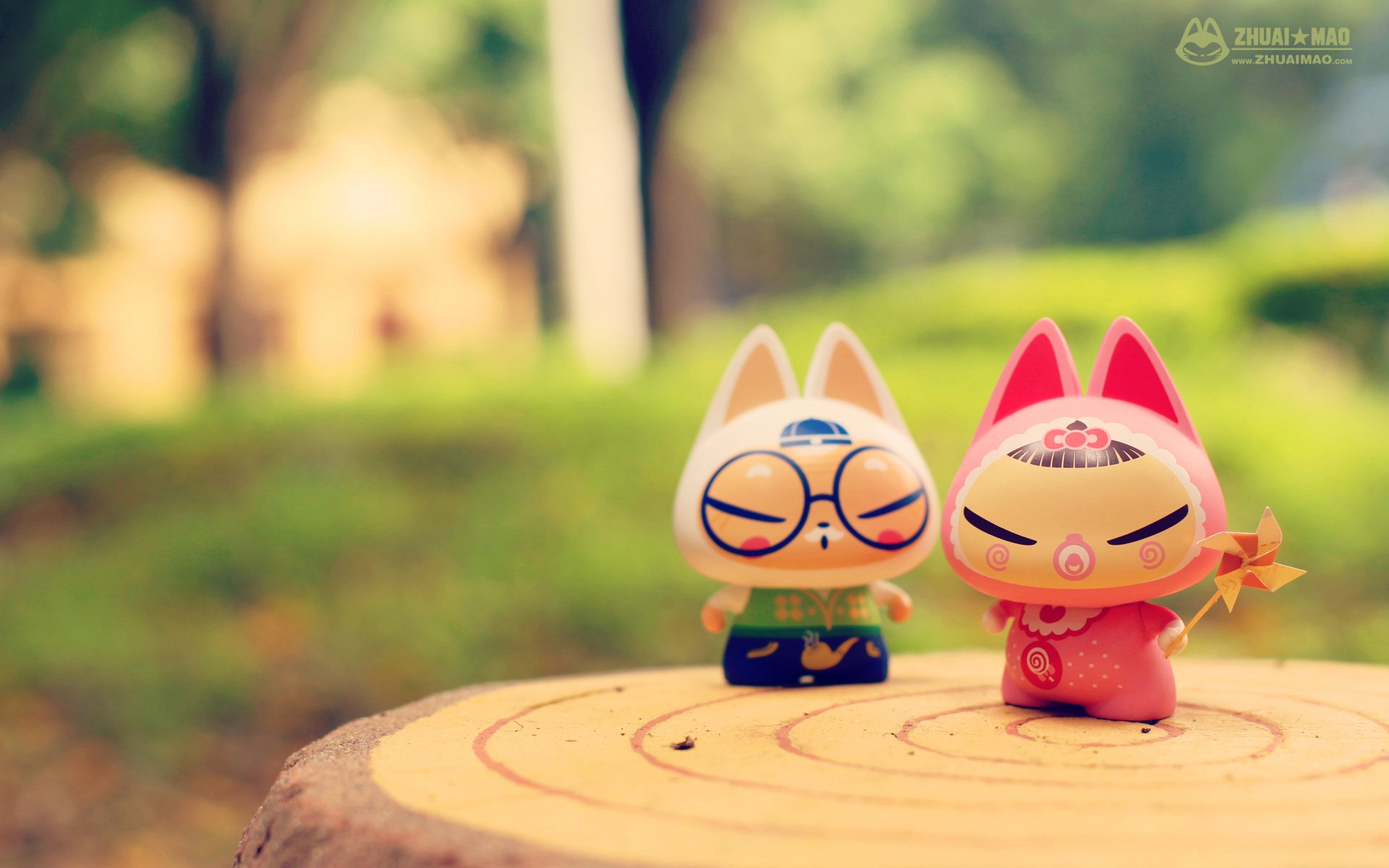 拽猫,父亲节,摄影,小清新,静物,写真