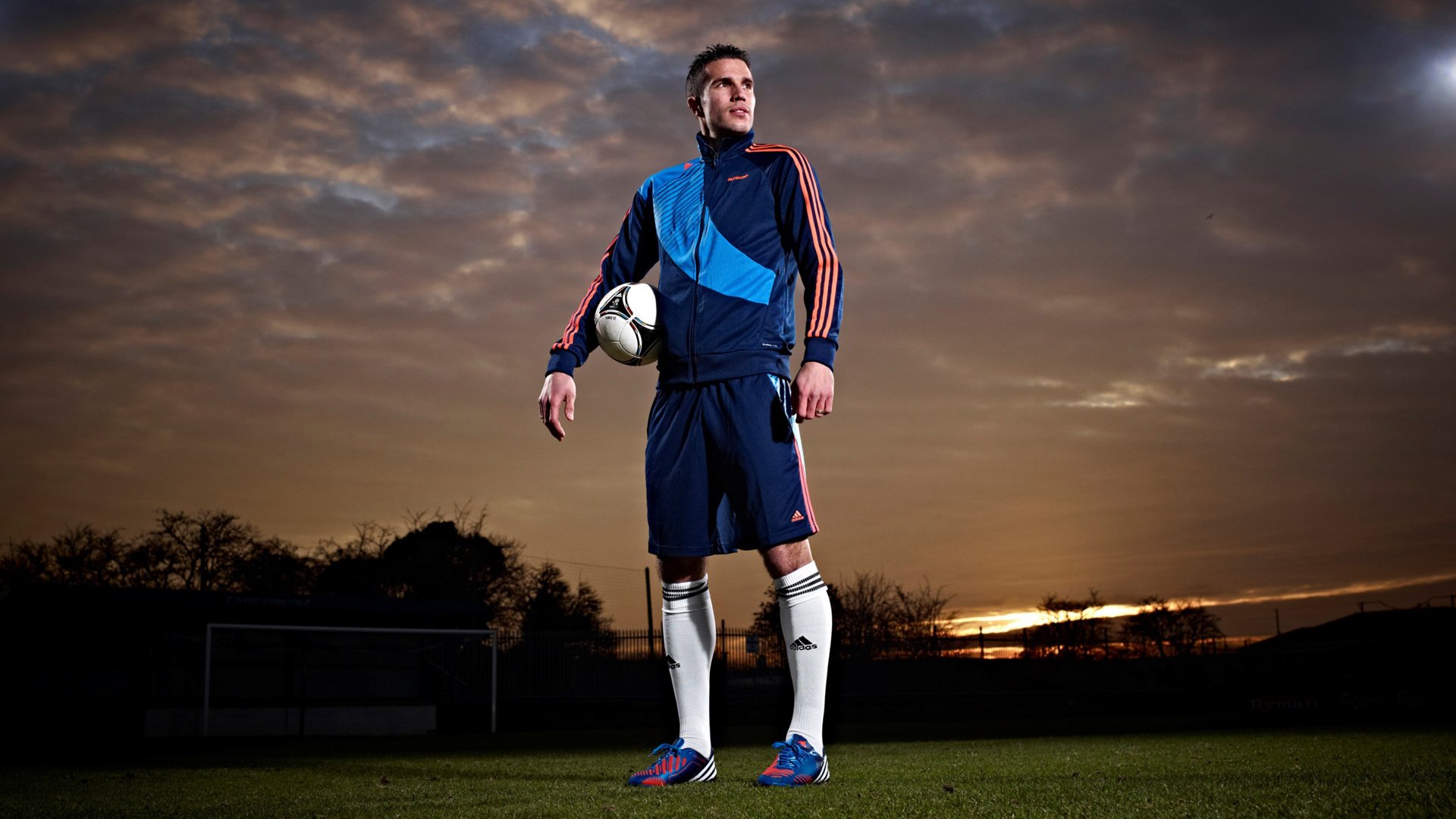 足球,运动,体育,比赛,世界杯,巴西世界杯,罗宾·范佩西