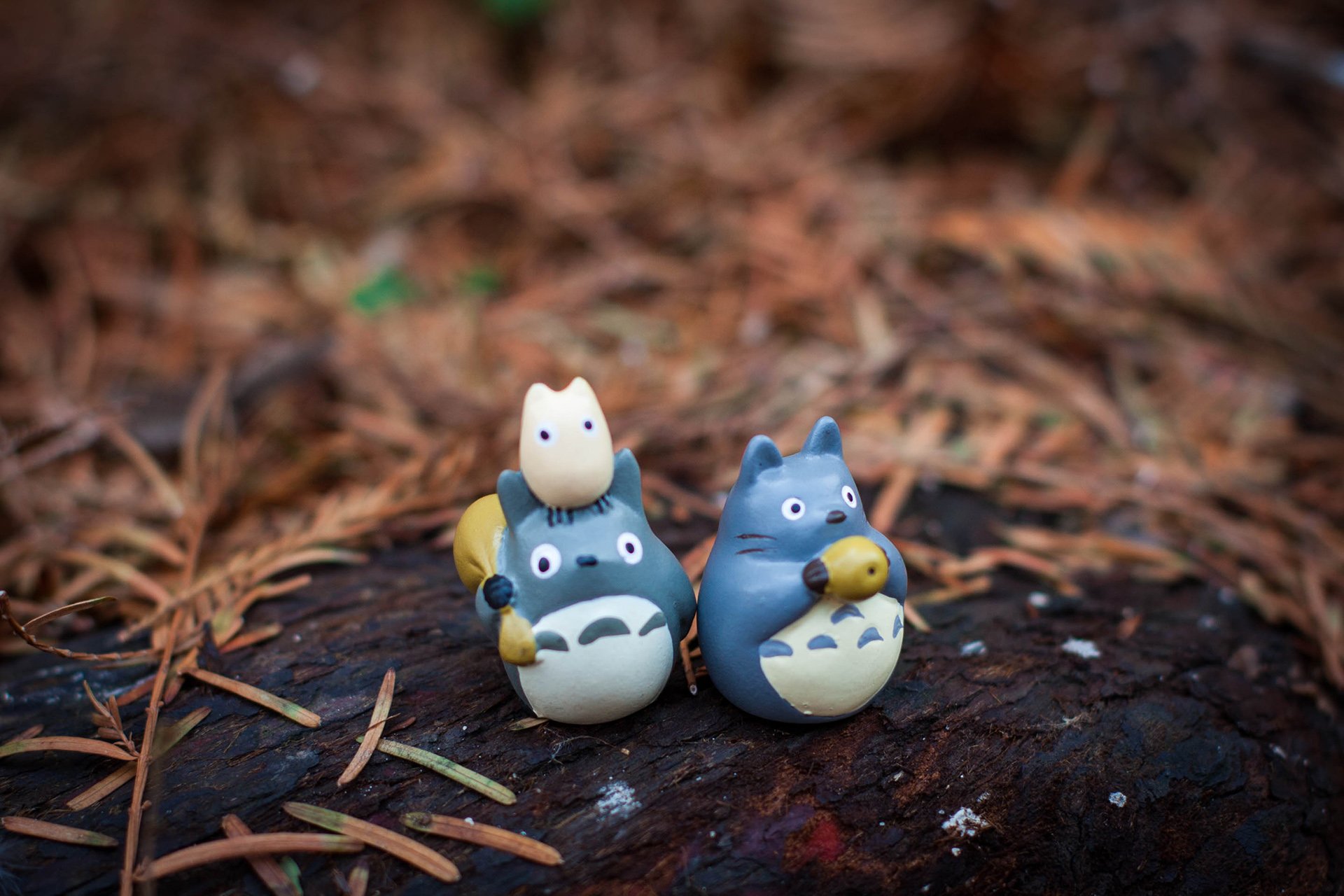 小清新,唯美,温暖,温馨一刻,静物写真,龙猫